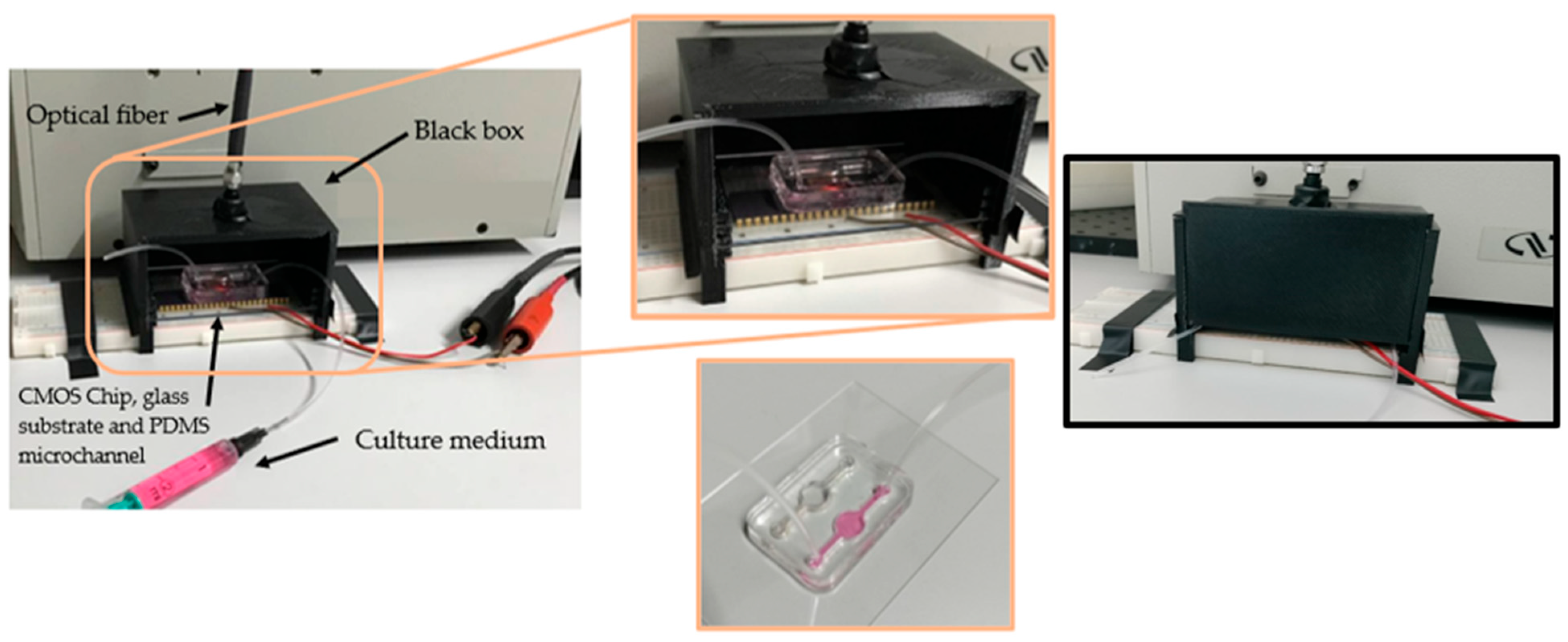 Photonics 11 01130 g007