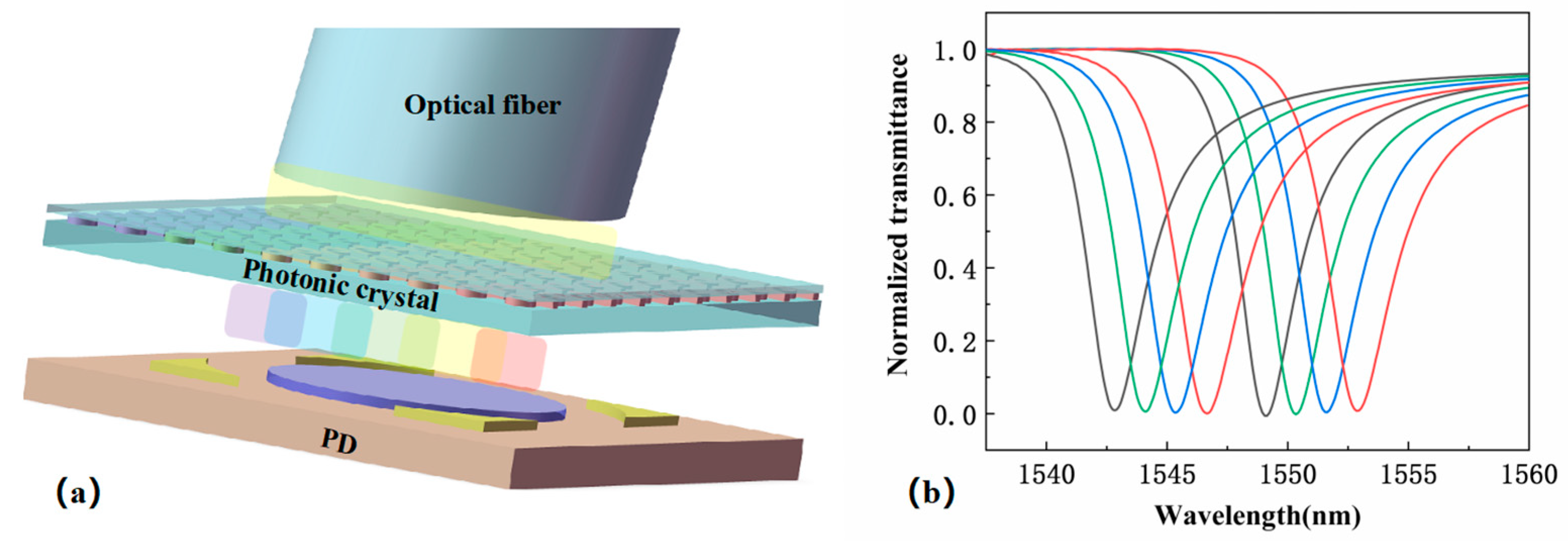 Photonics 11 01134 g005