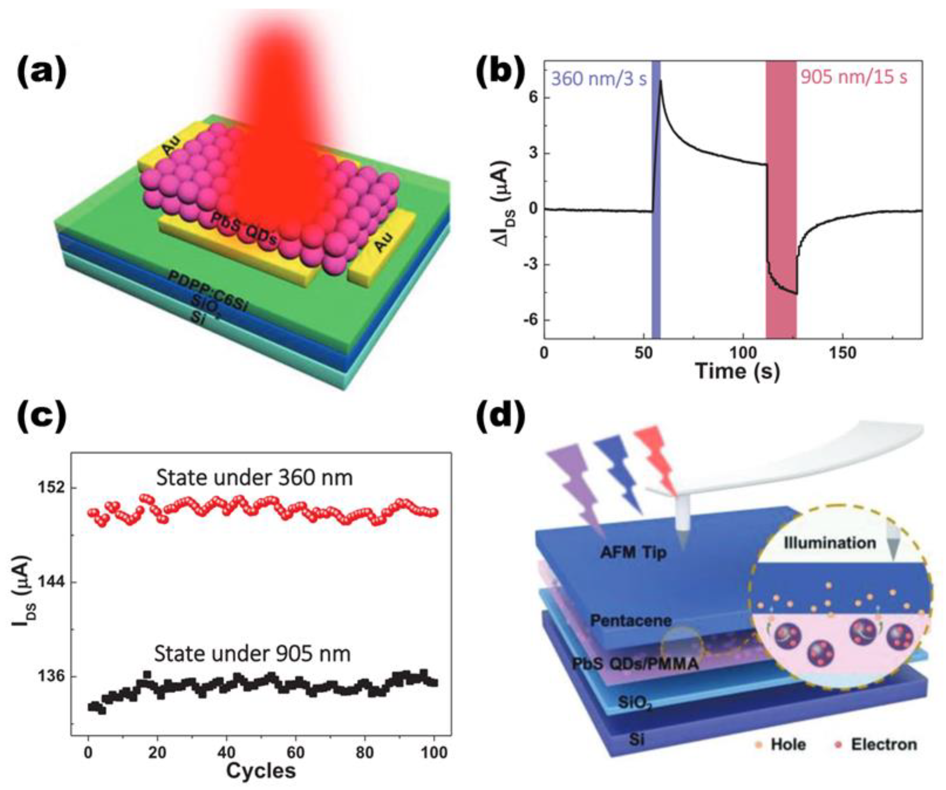 Photonics 11 01138 g005