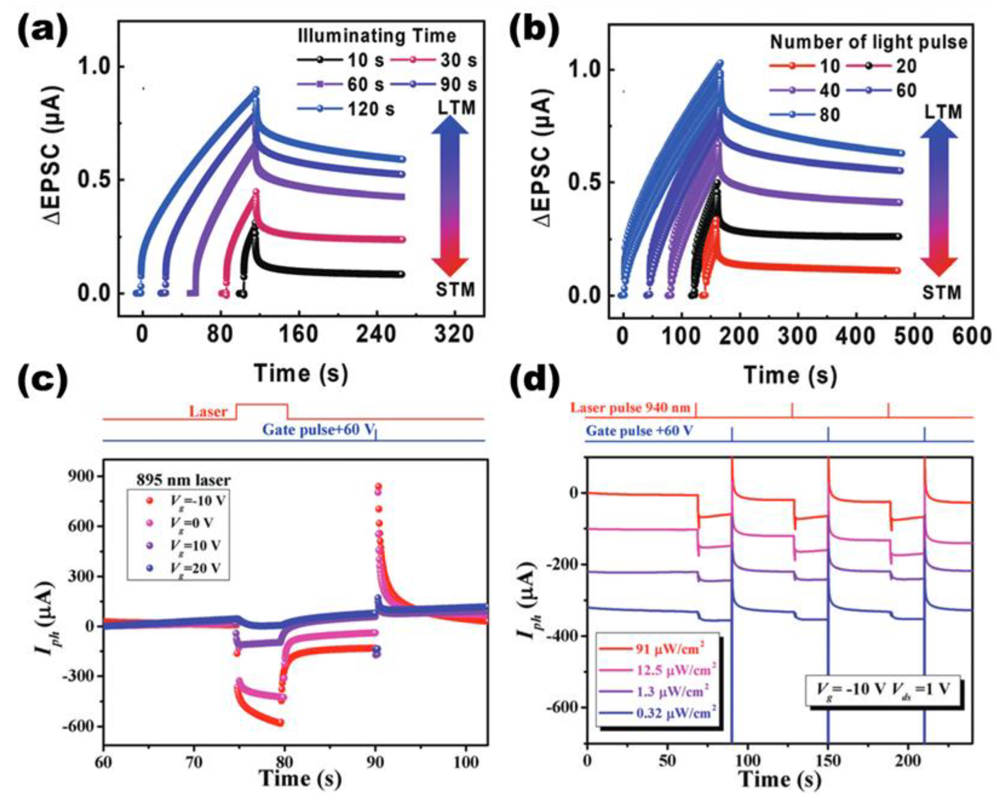 Photonics 11 01138 g006