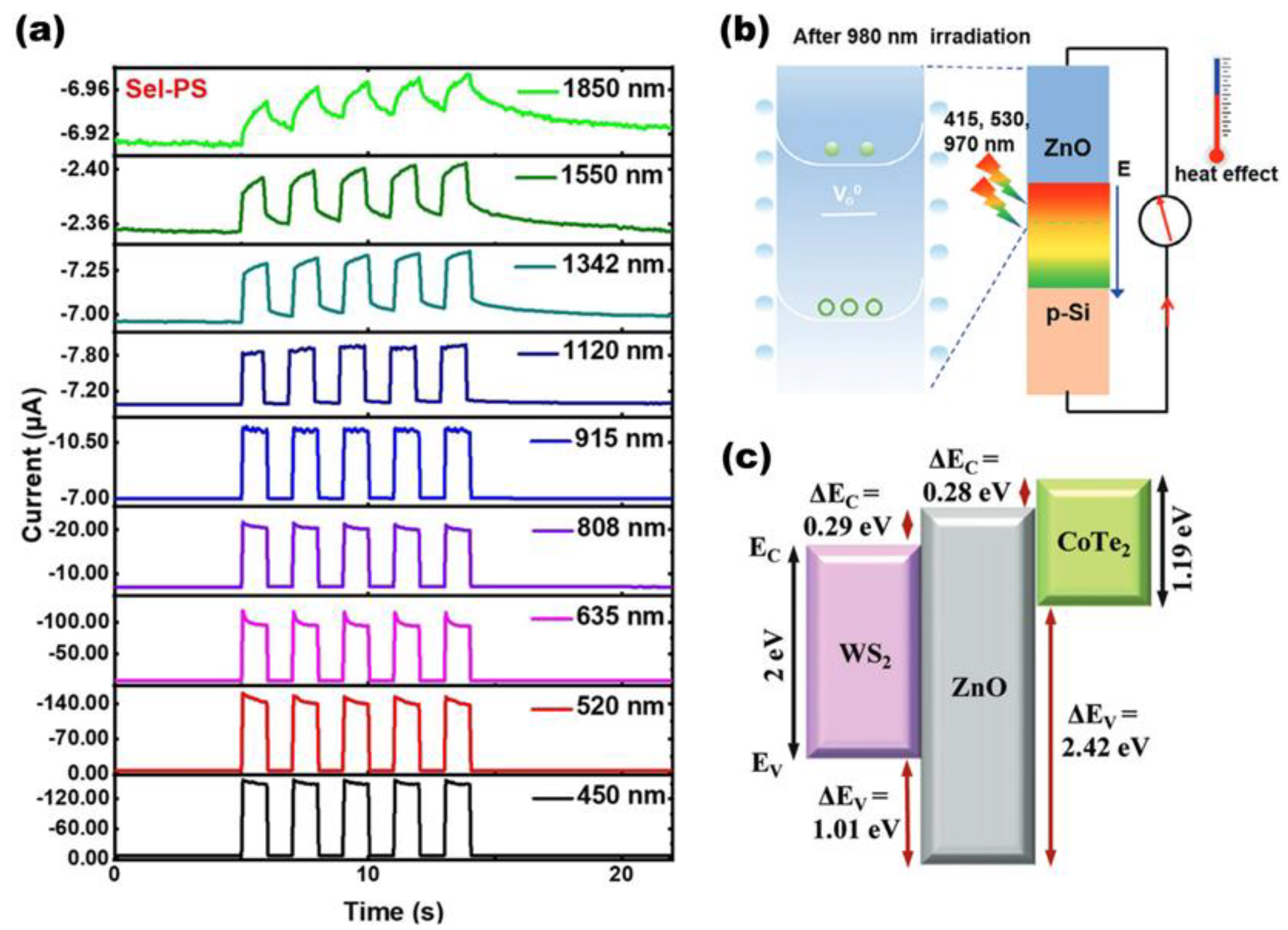 Photonics 11 01138 g008