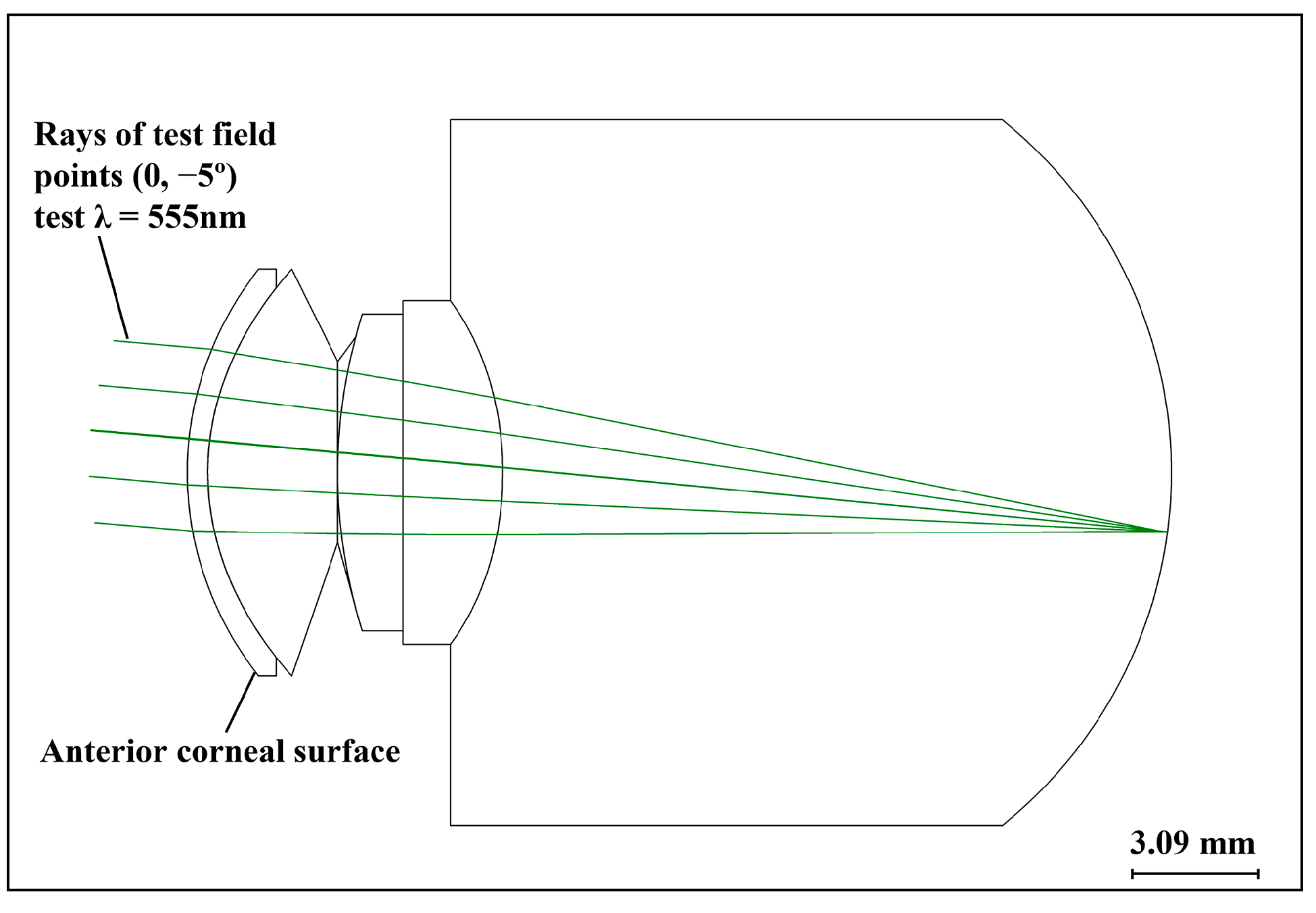 Photonics 11 01146 g003
