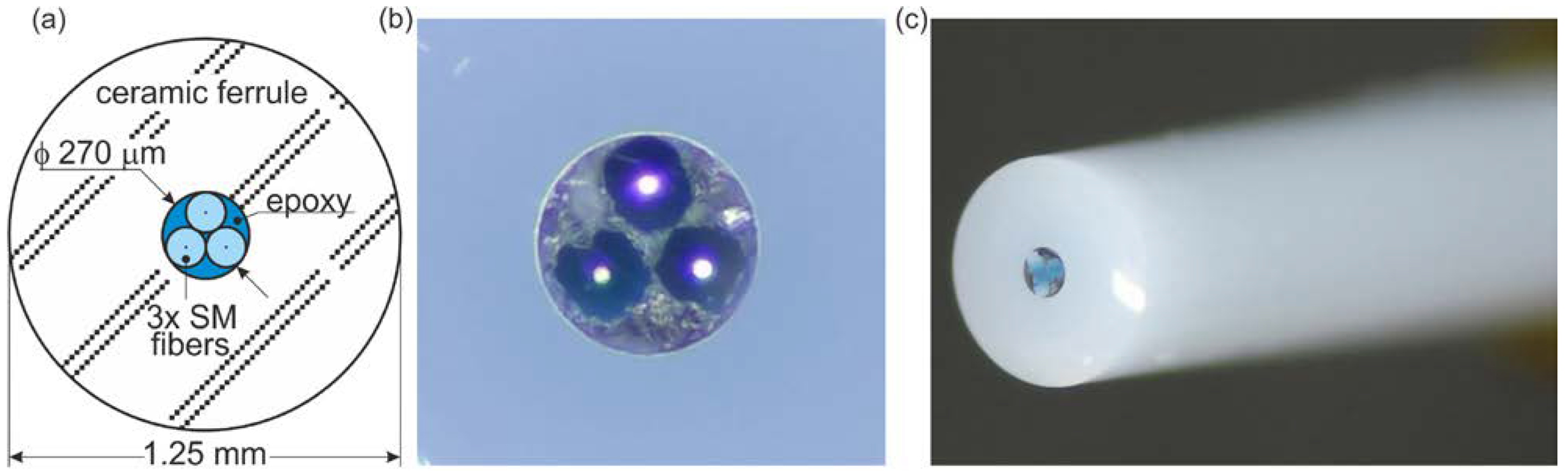 Photonics 11 01152 g004 Photonics 11 01152 g004
