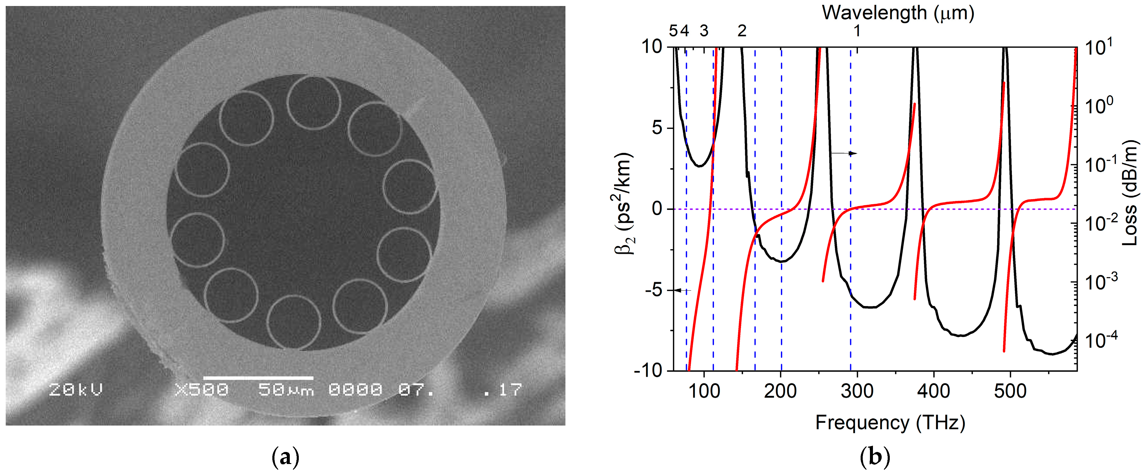 Photonics 11 01176 g001