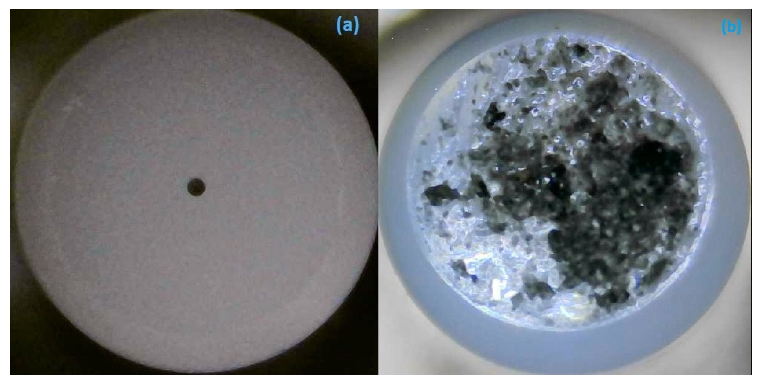 Photonics 11 01181 g004 Photonics 11 01181 g004