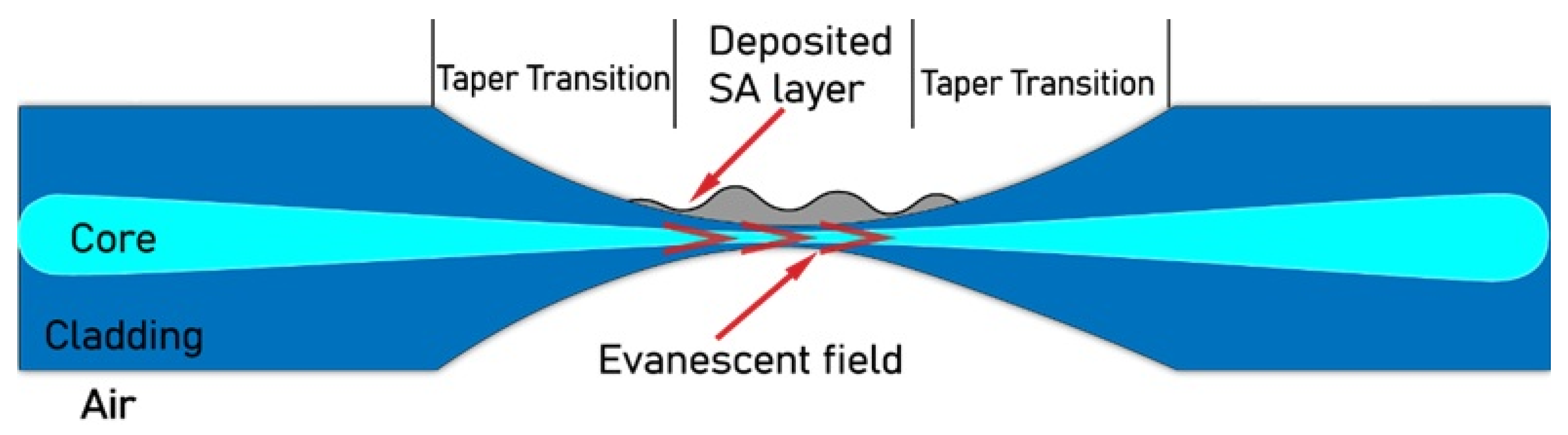 Photonics 11 01181 g006 Photonics 11 01181 g006