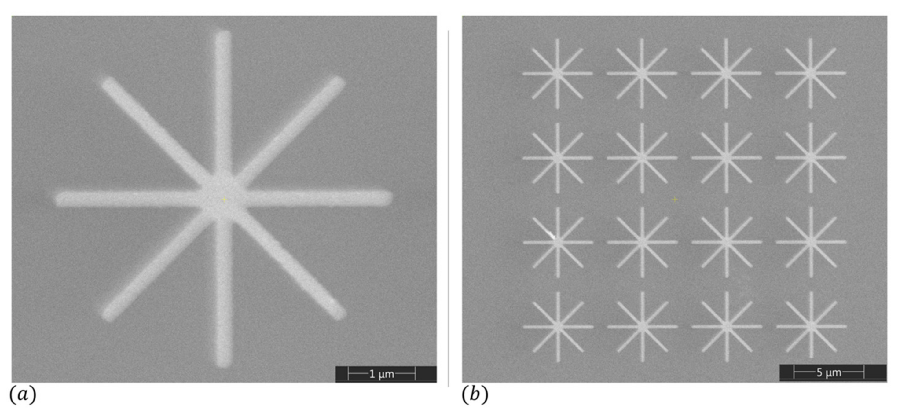 Photonics 11 01197 g008