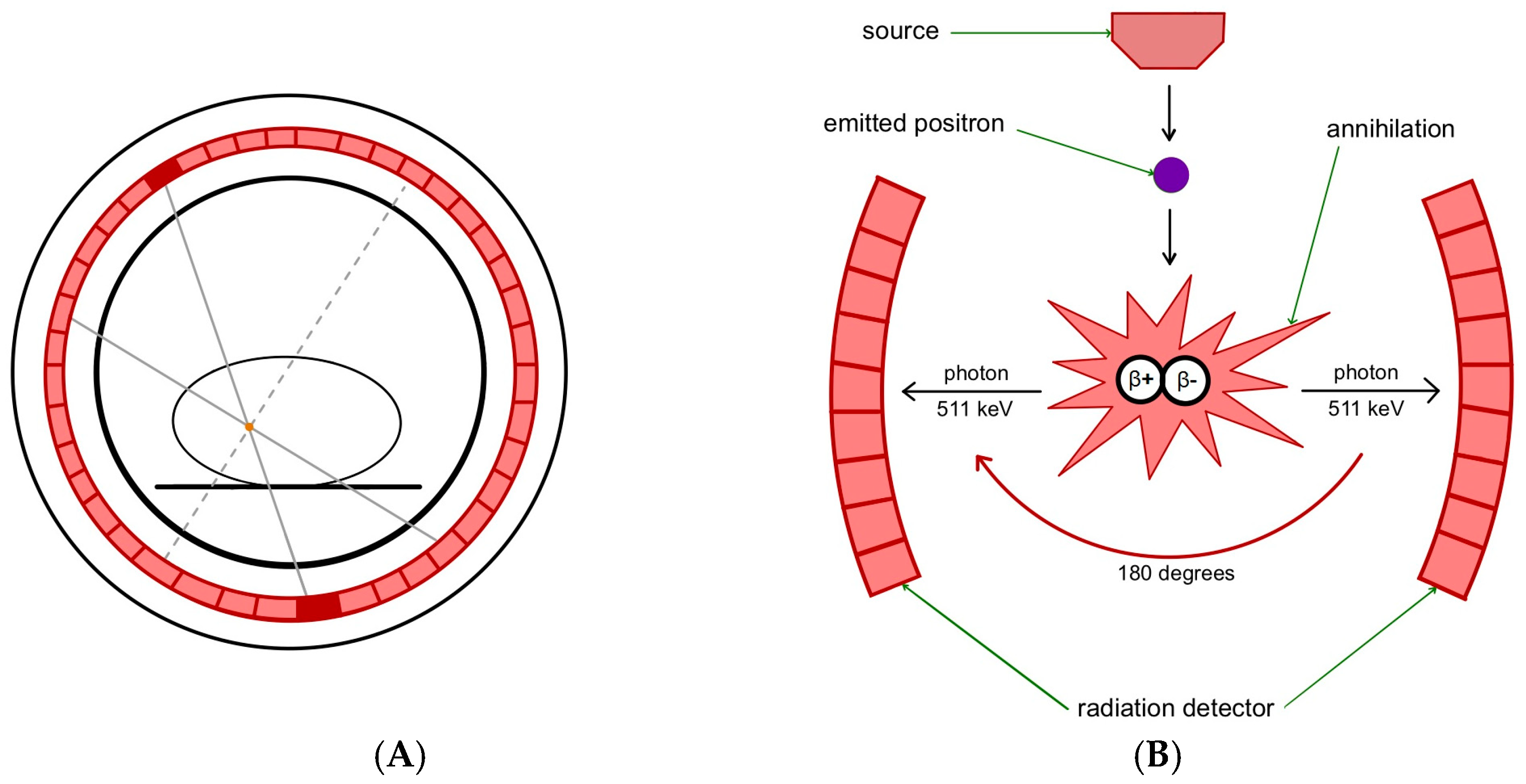 Photon-Based Innovations in Oncology: Precise Diagnostic Techniques and ...