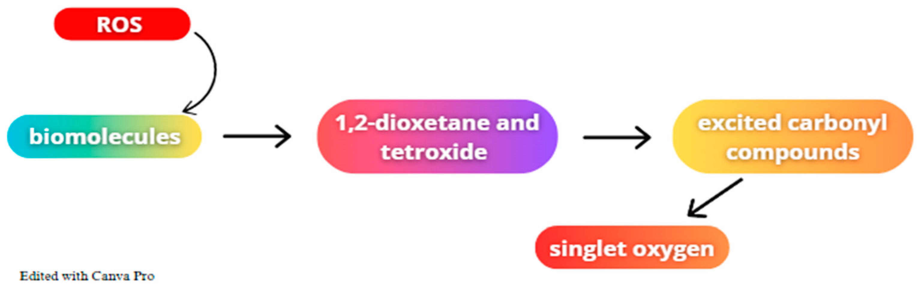 Photonics 11 01201 g003