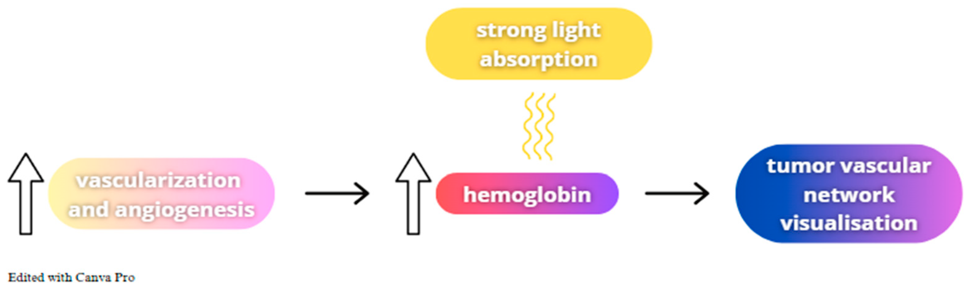 Photonics 11 01201 g004