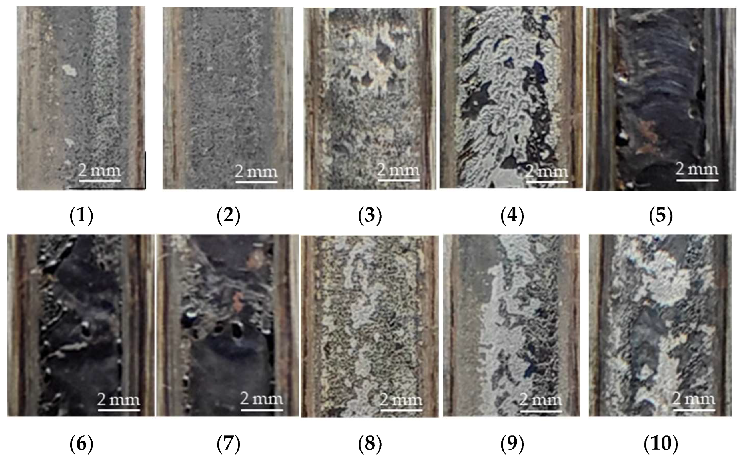 Photonics 11 01205 g008