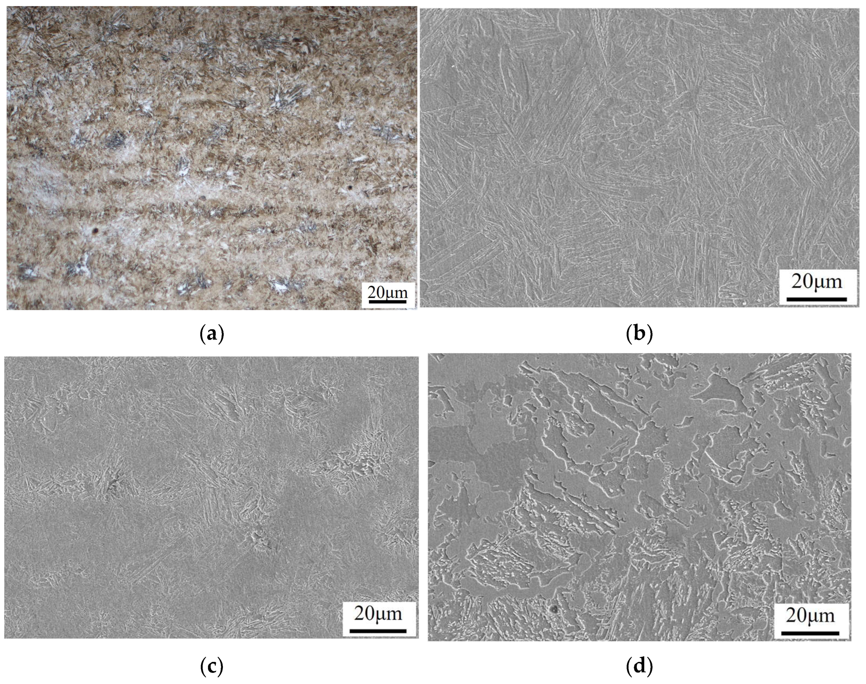 Photonics 11 01205 g010