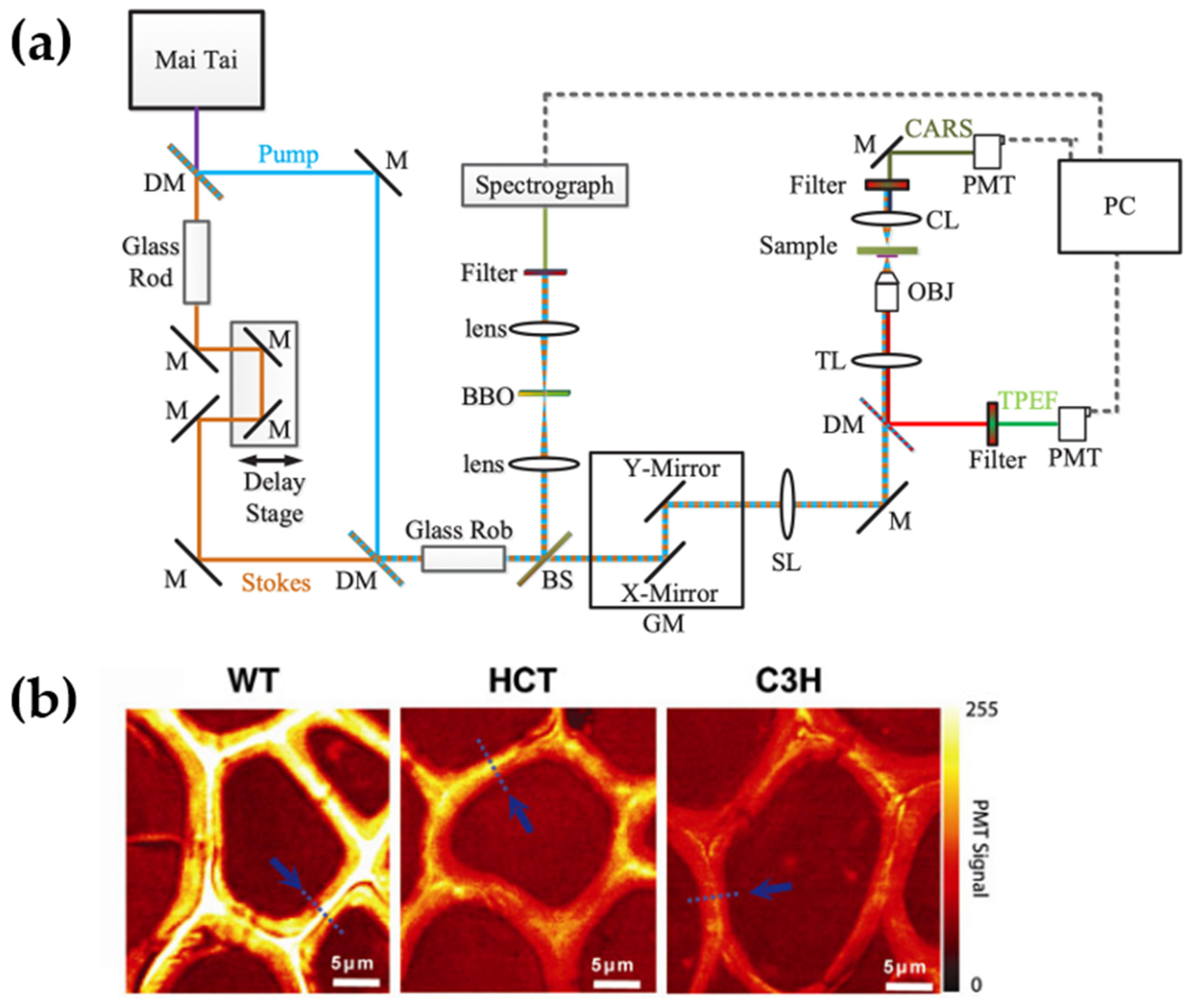Photonics 11 01207 g006