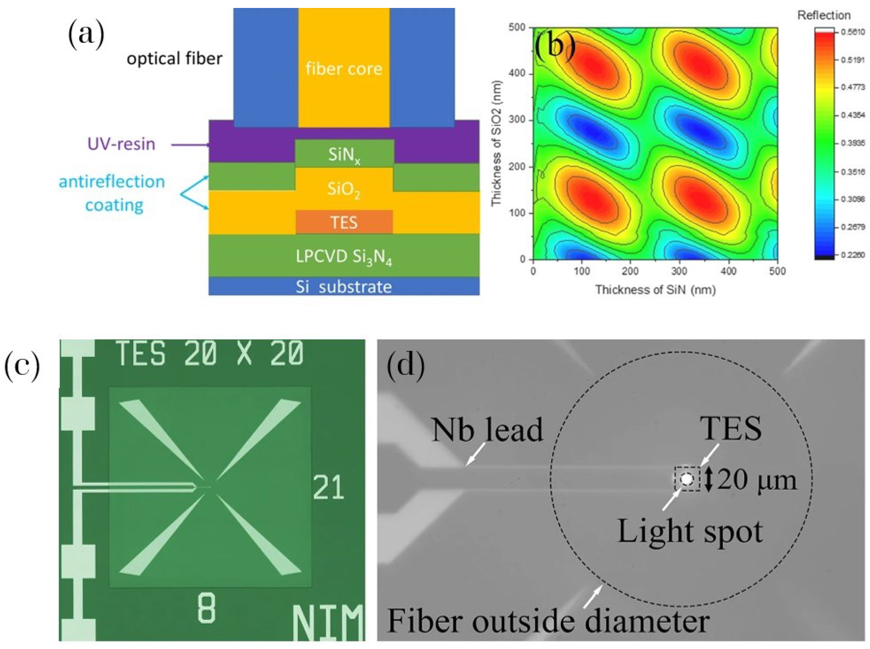 Photonics 12 00008 g009
