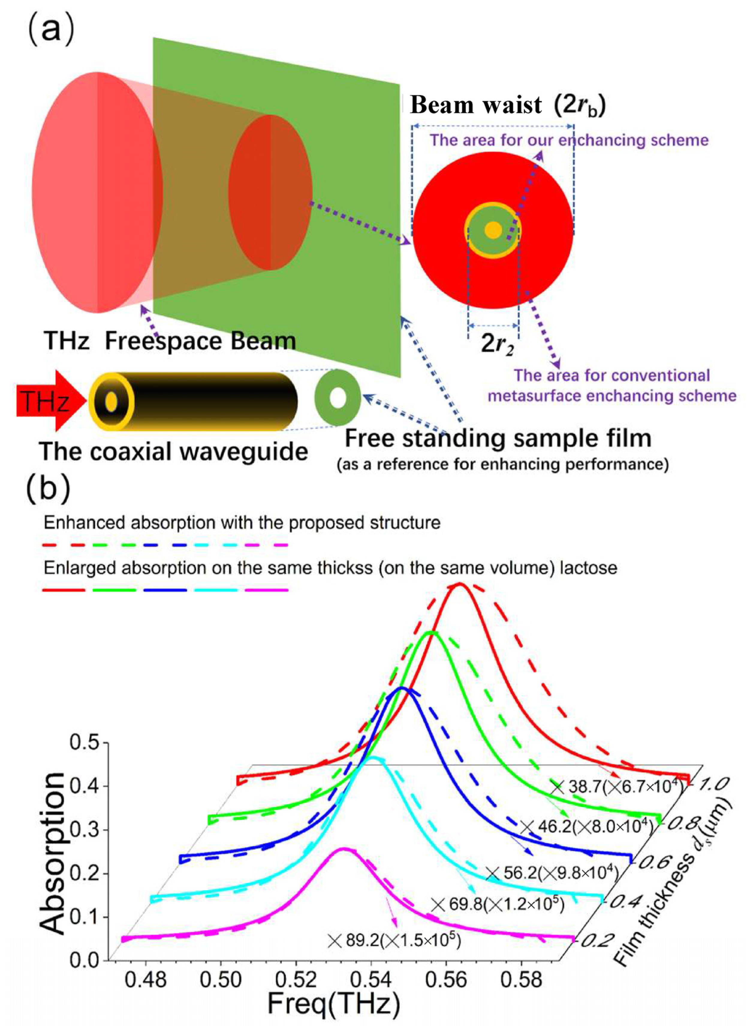 Photonics 12 00014 g004