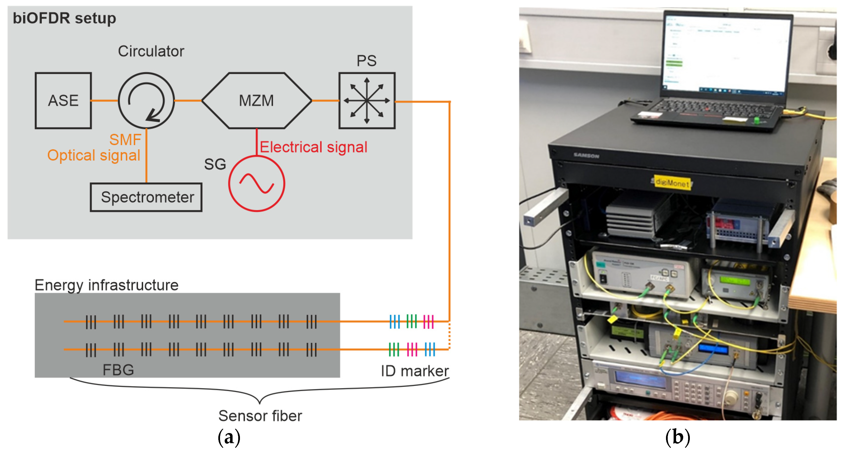 Photonics 12 00018 g001