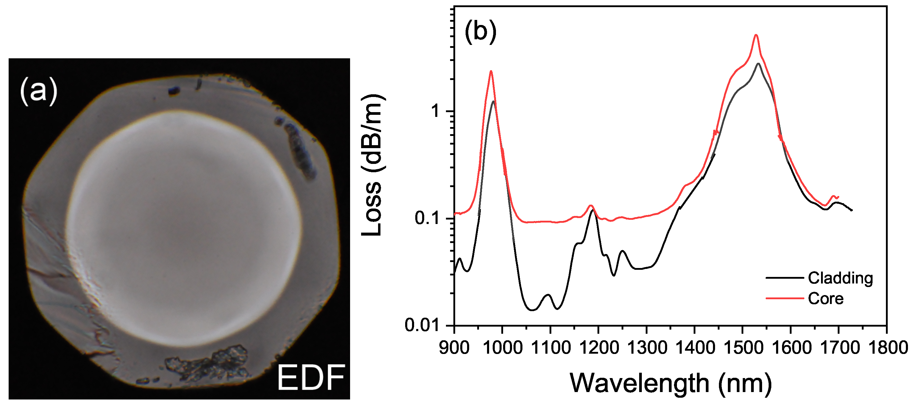 Photonics 12 00028 g002