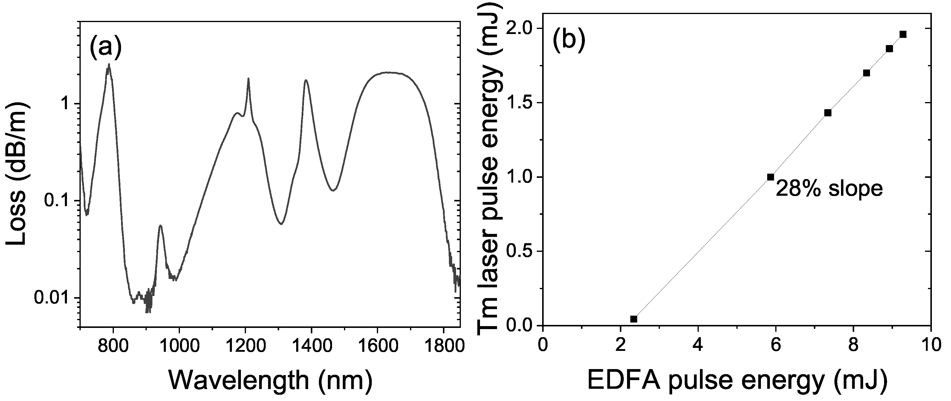 Photonics 12 00028 g005