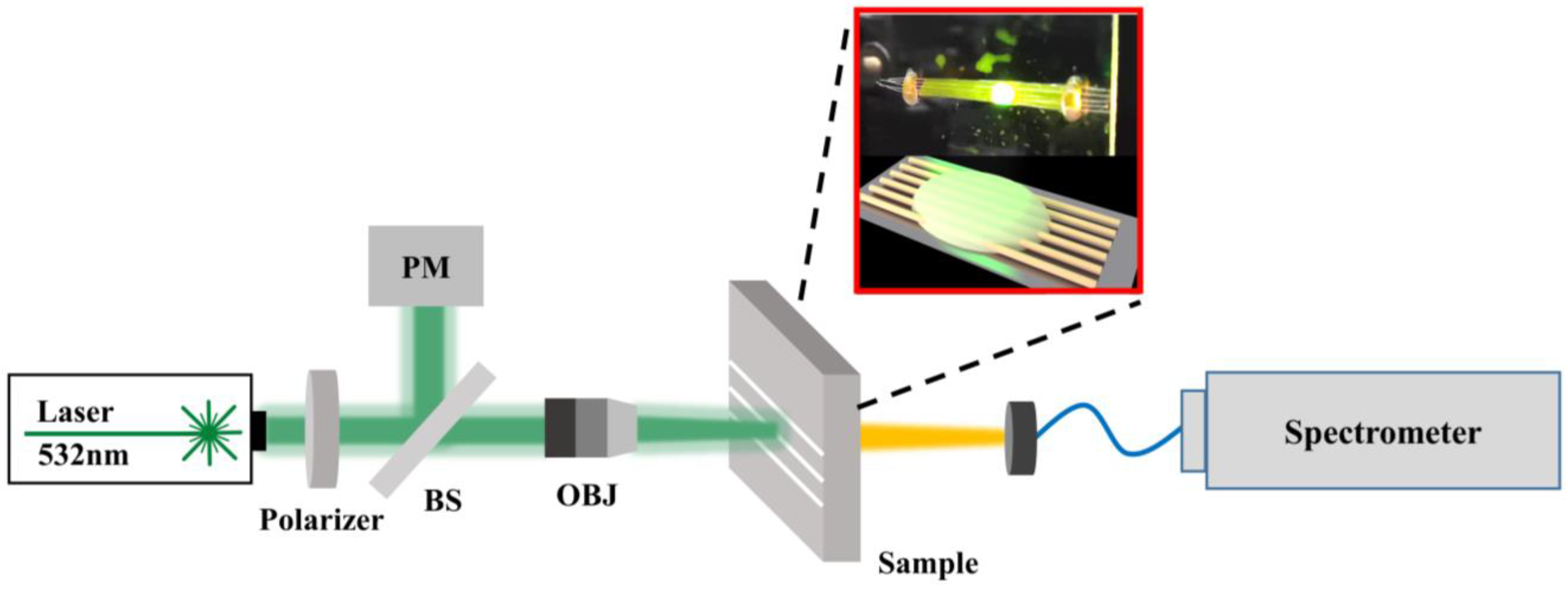 Photonics 12 00029 g001