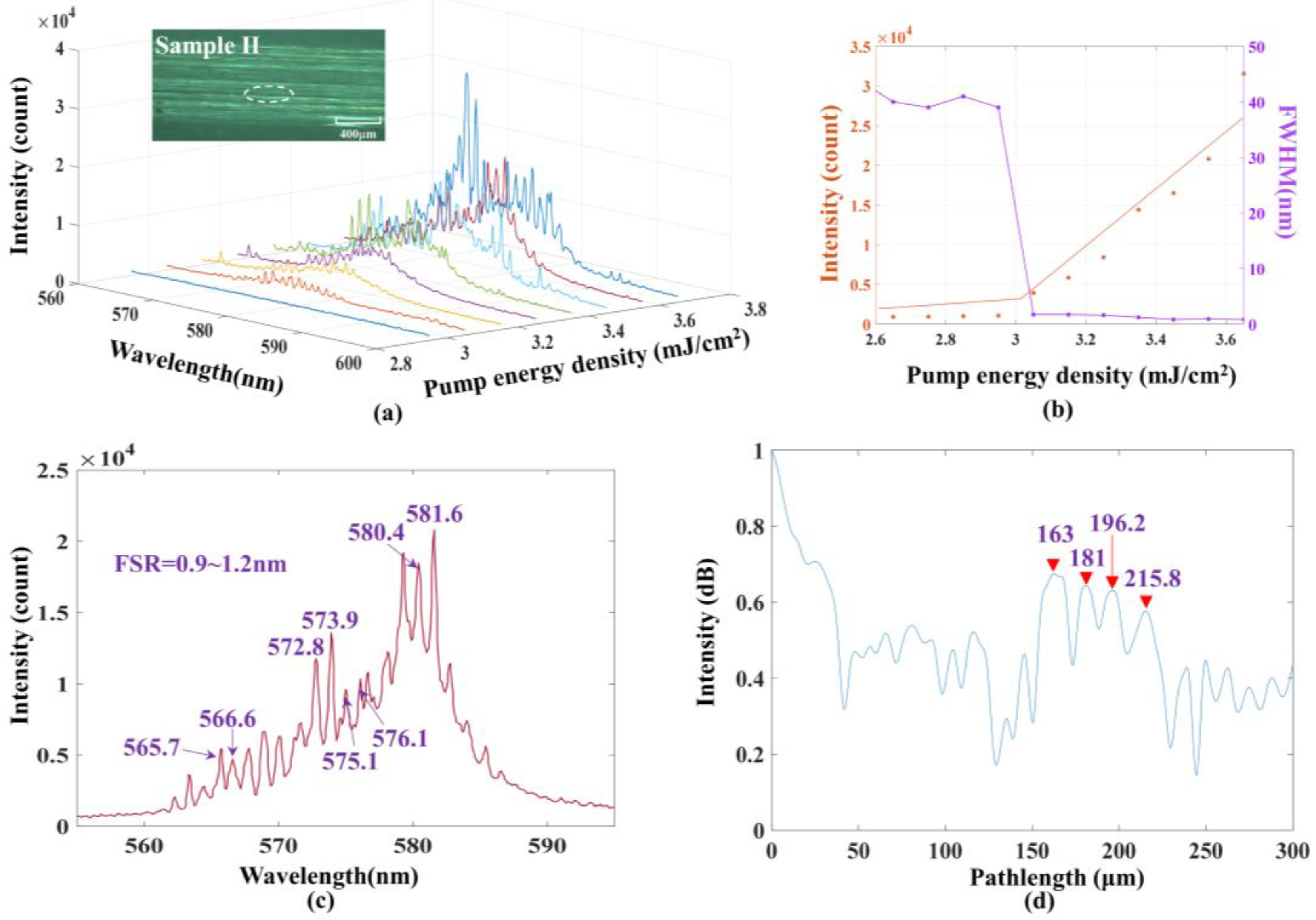 Photonics 12 00029 g003