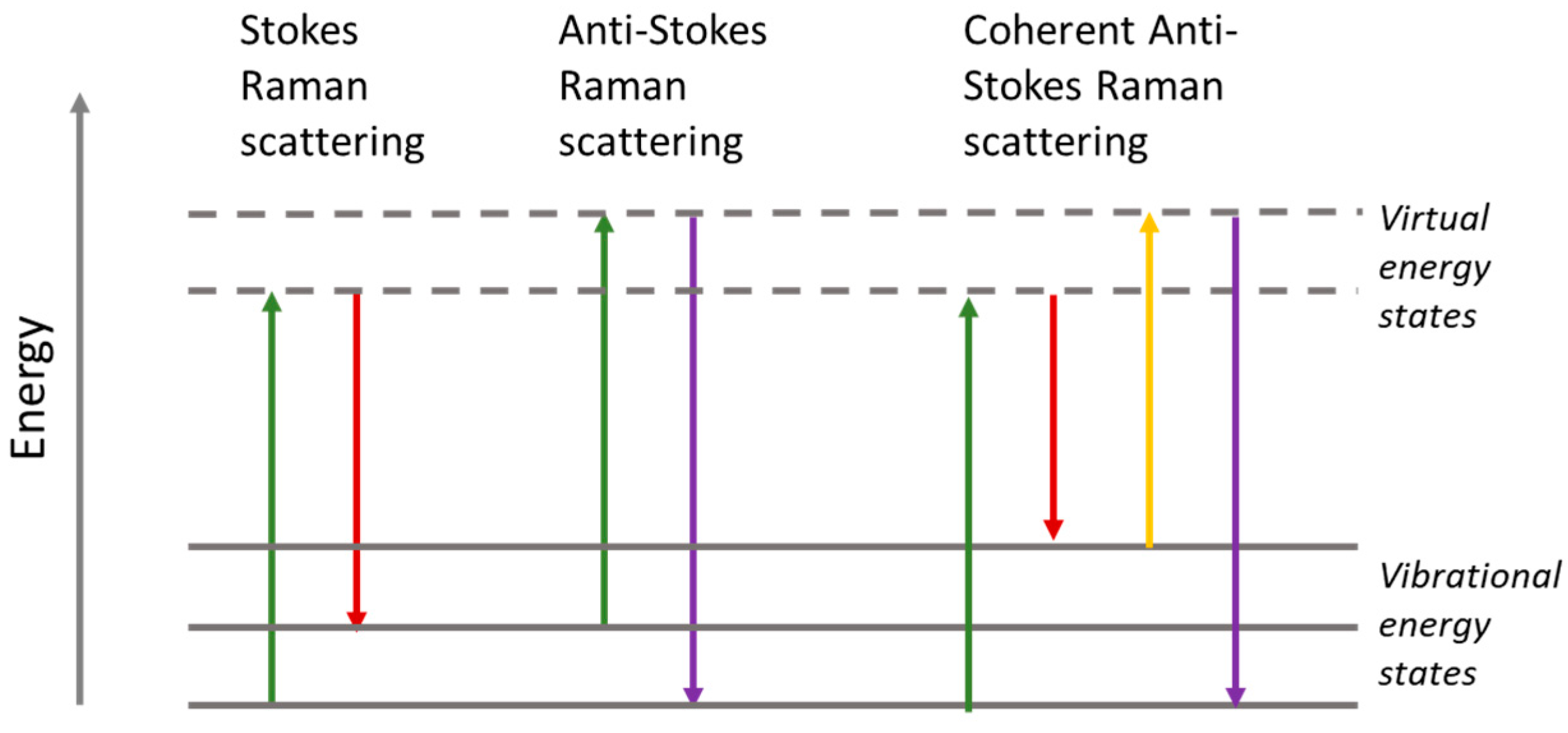 Photonics 12 00037 g004