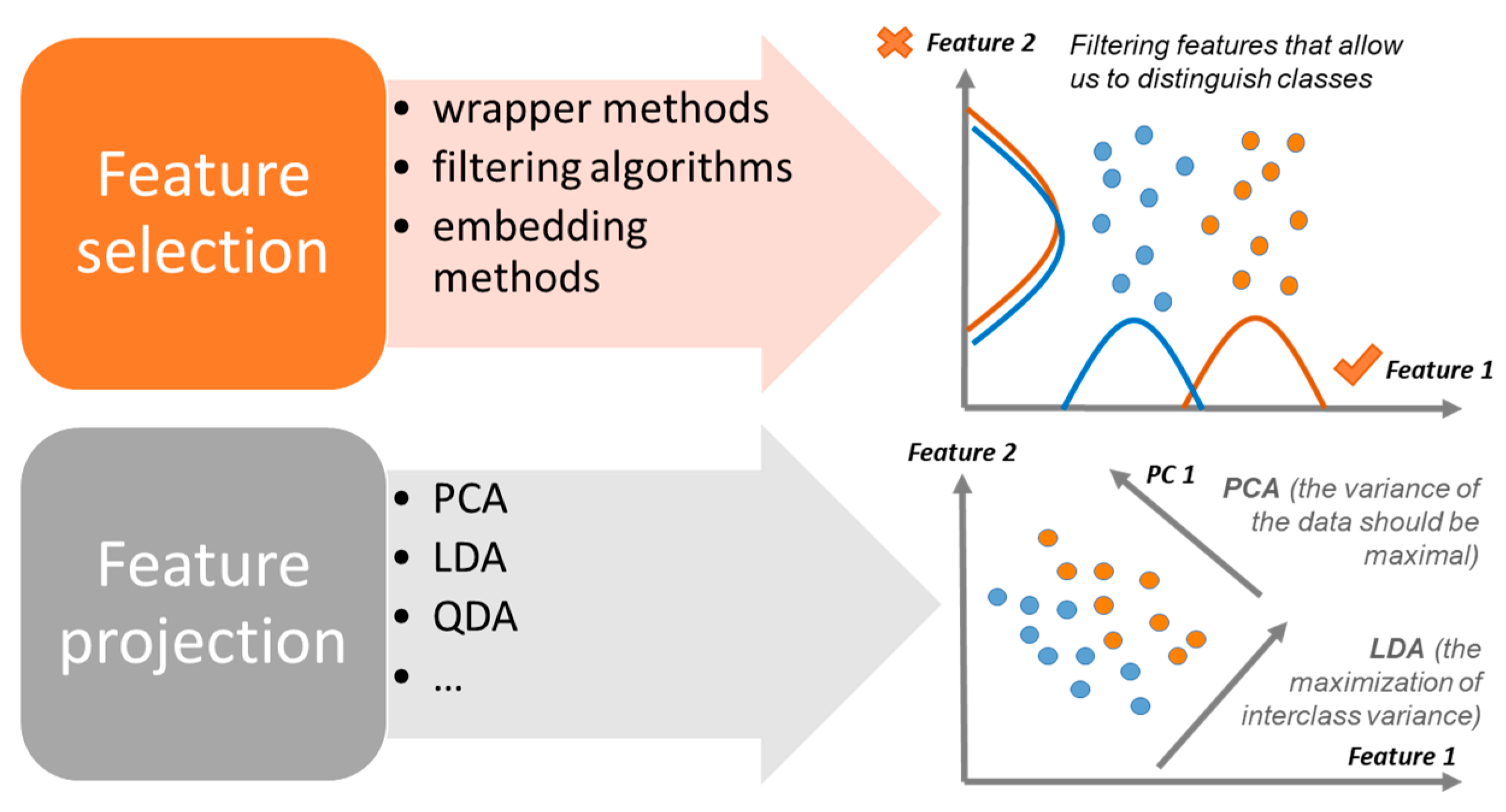 Photonics 12 00037 g007