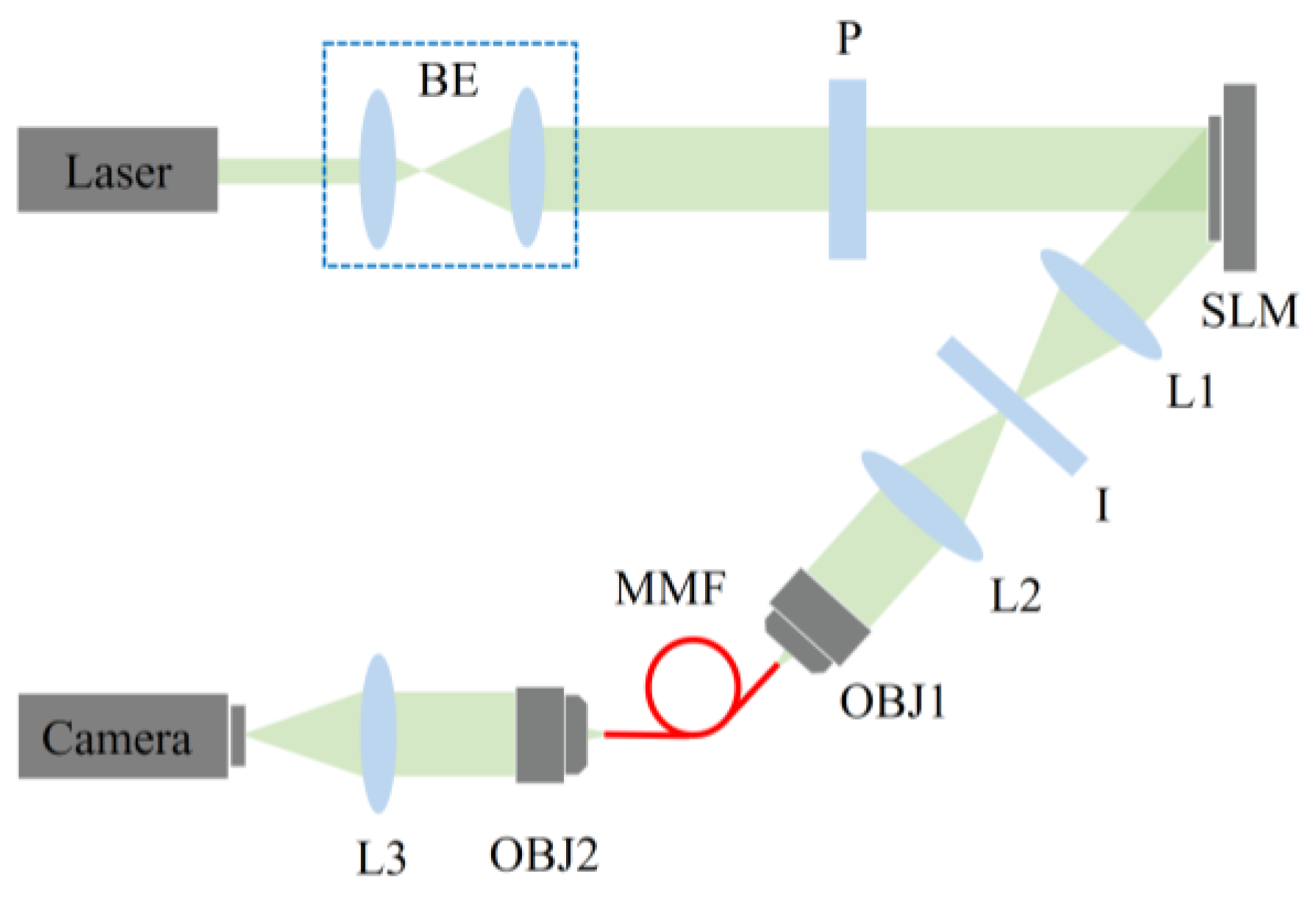 Photonics 12 00041 g004