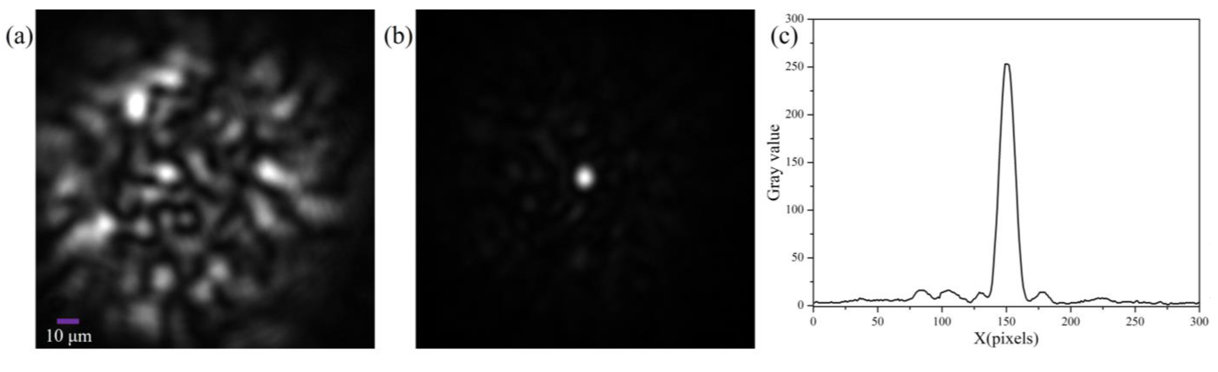 Photonics 12 00041 g005