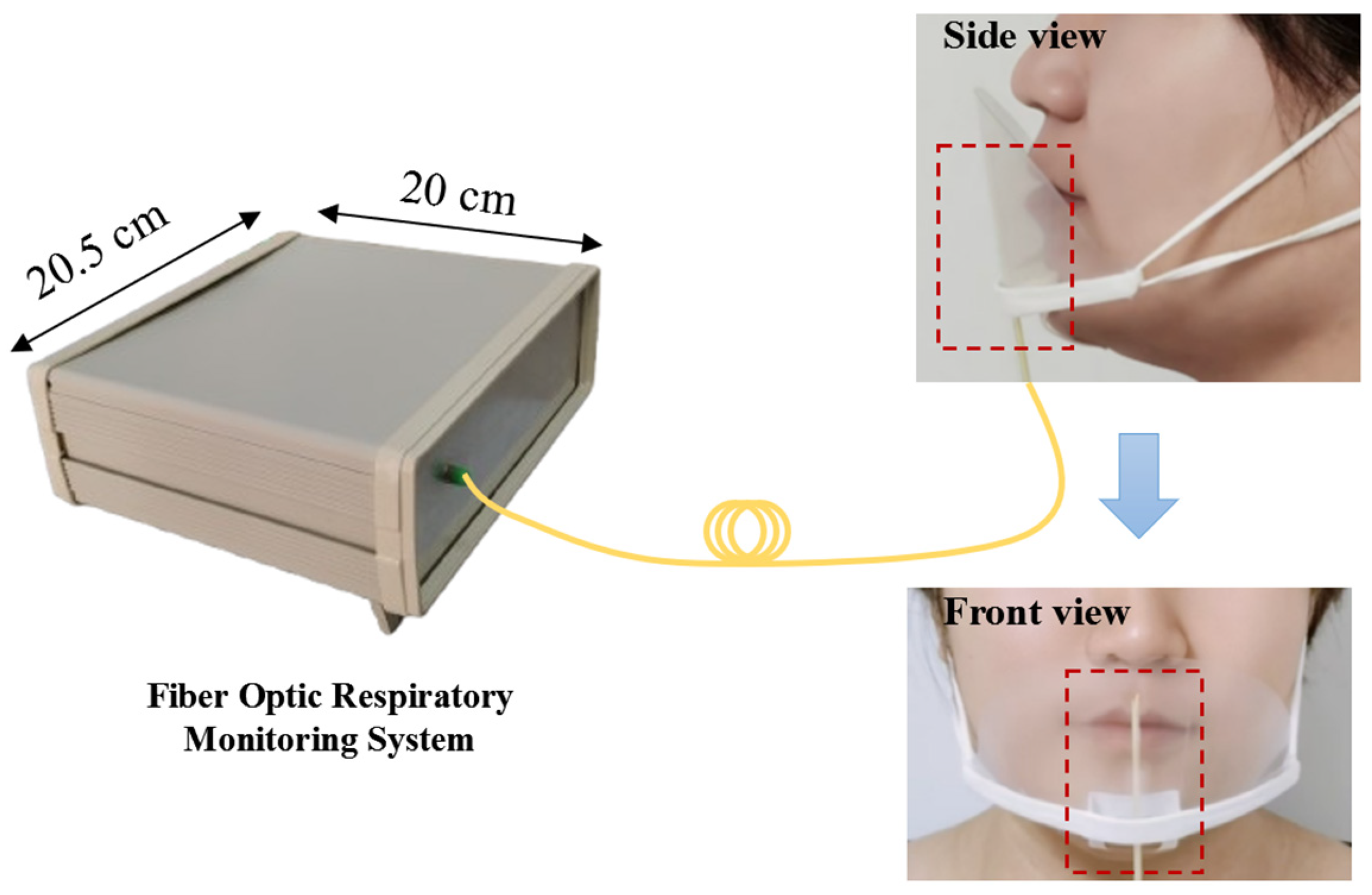 Photonics 12 00045 g010