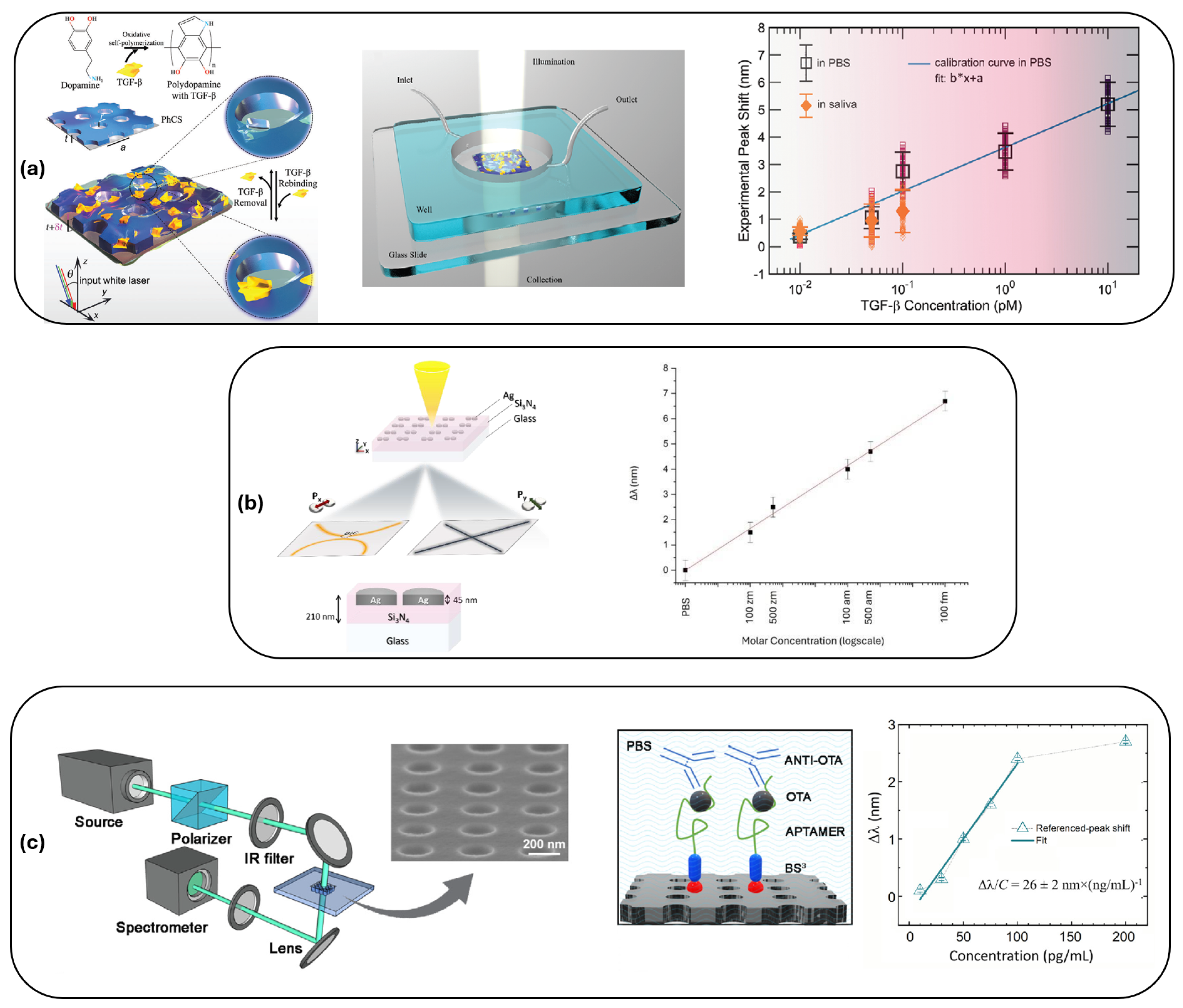 Photonics 12 00048 g005