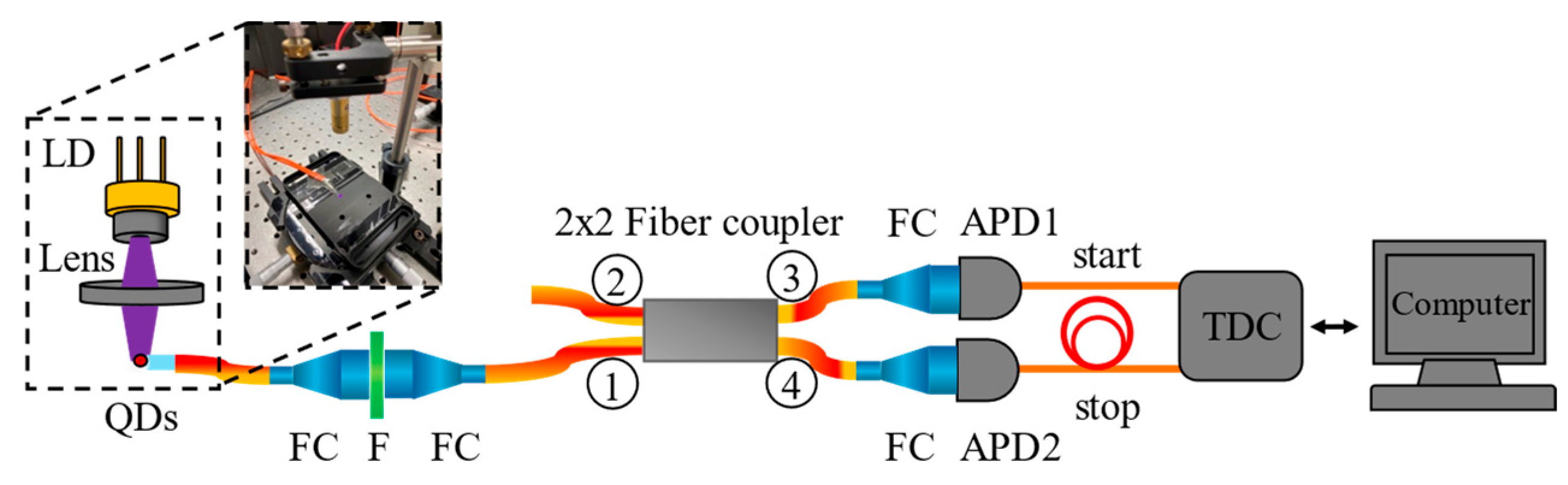 Photonics 12 00052 g003