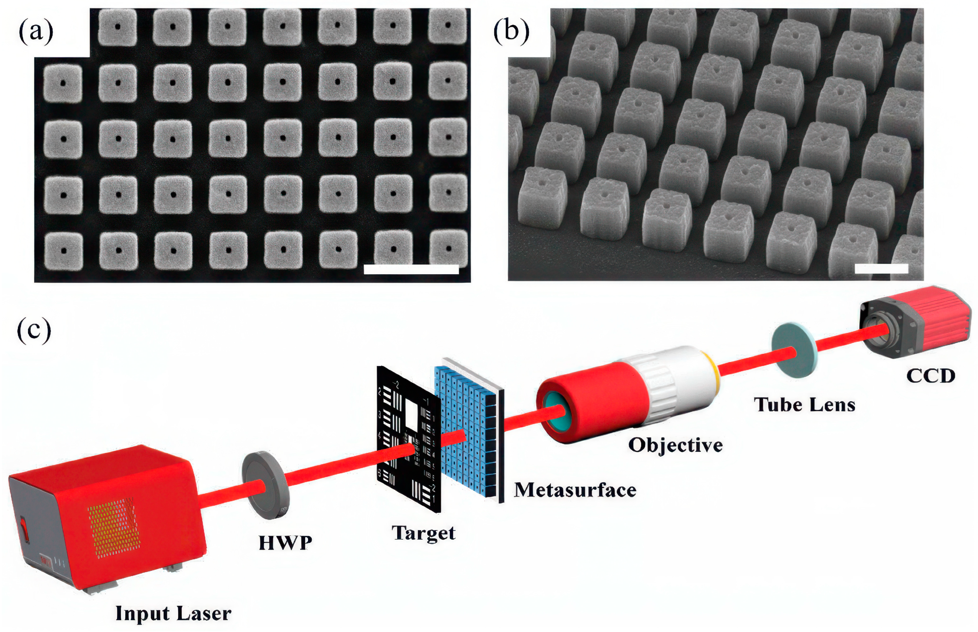 Photonics 12 00075 g003