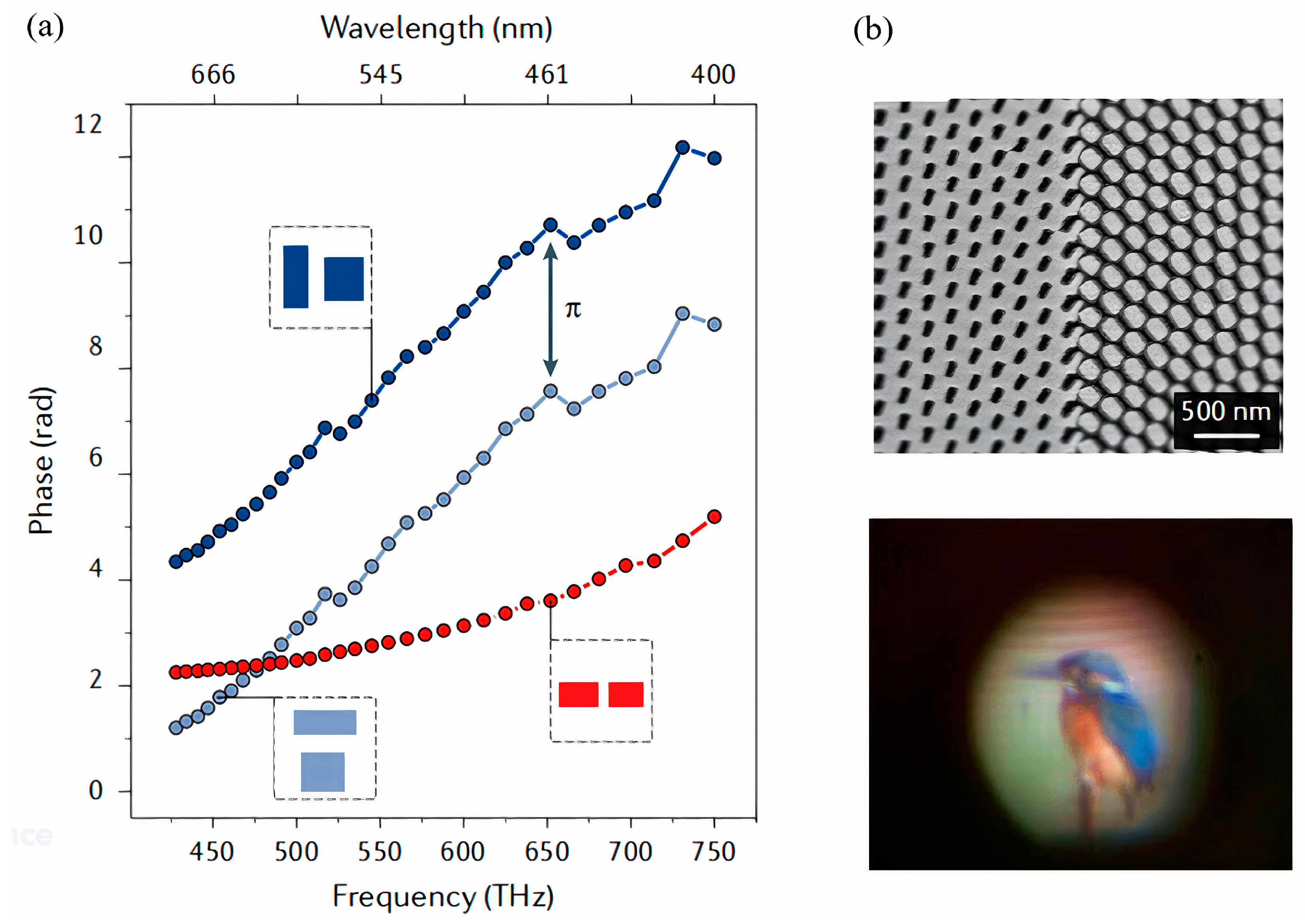 Photonics 12 00075 g008