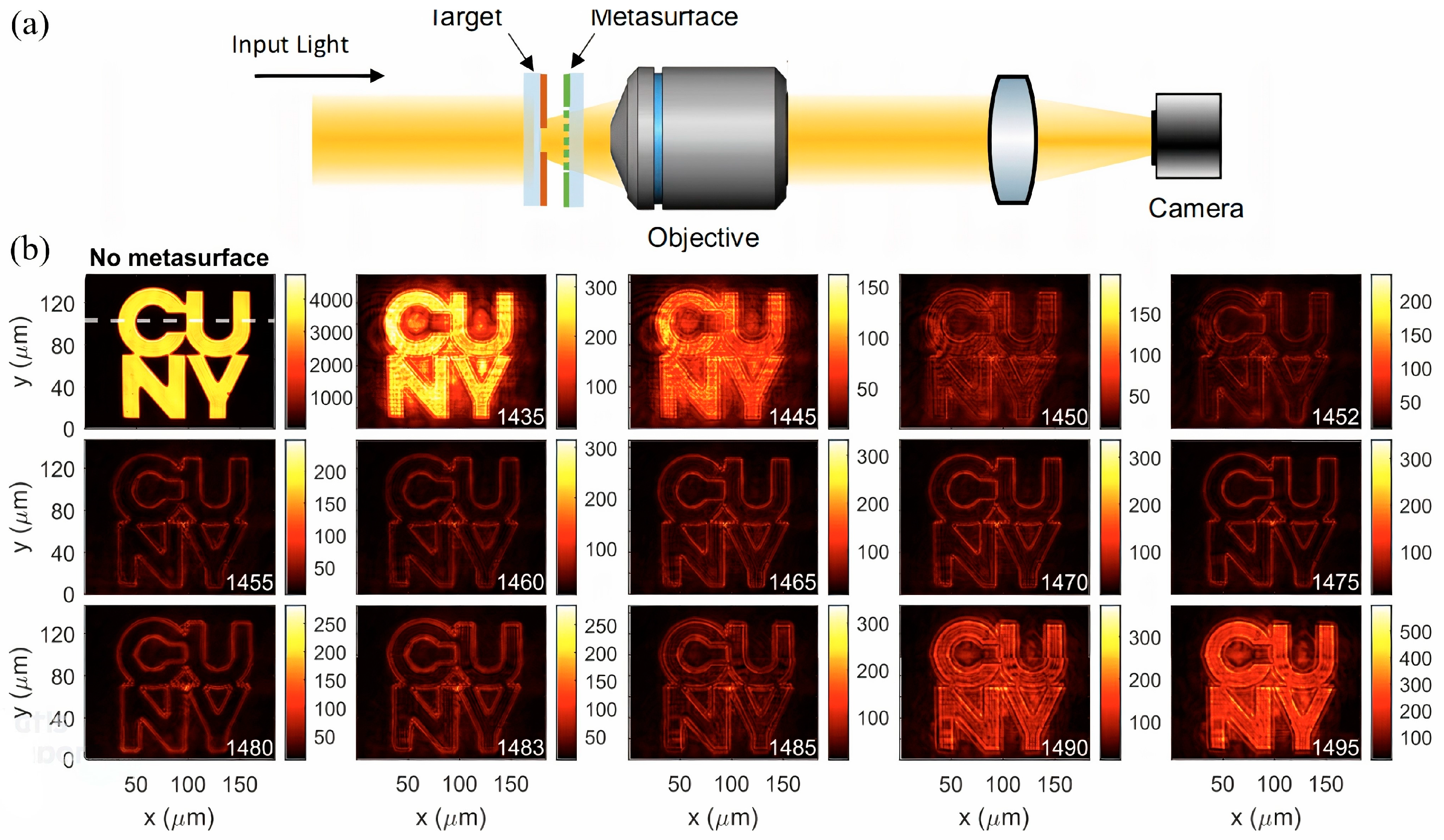 Photonics 12 00075 g010