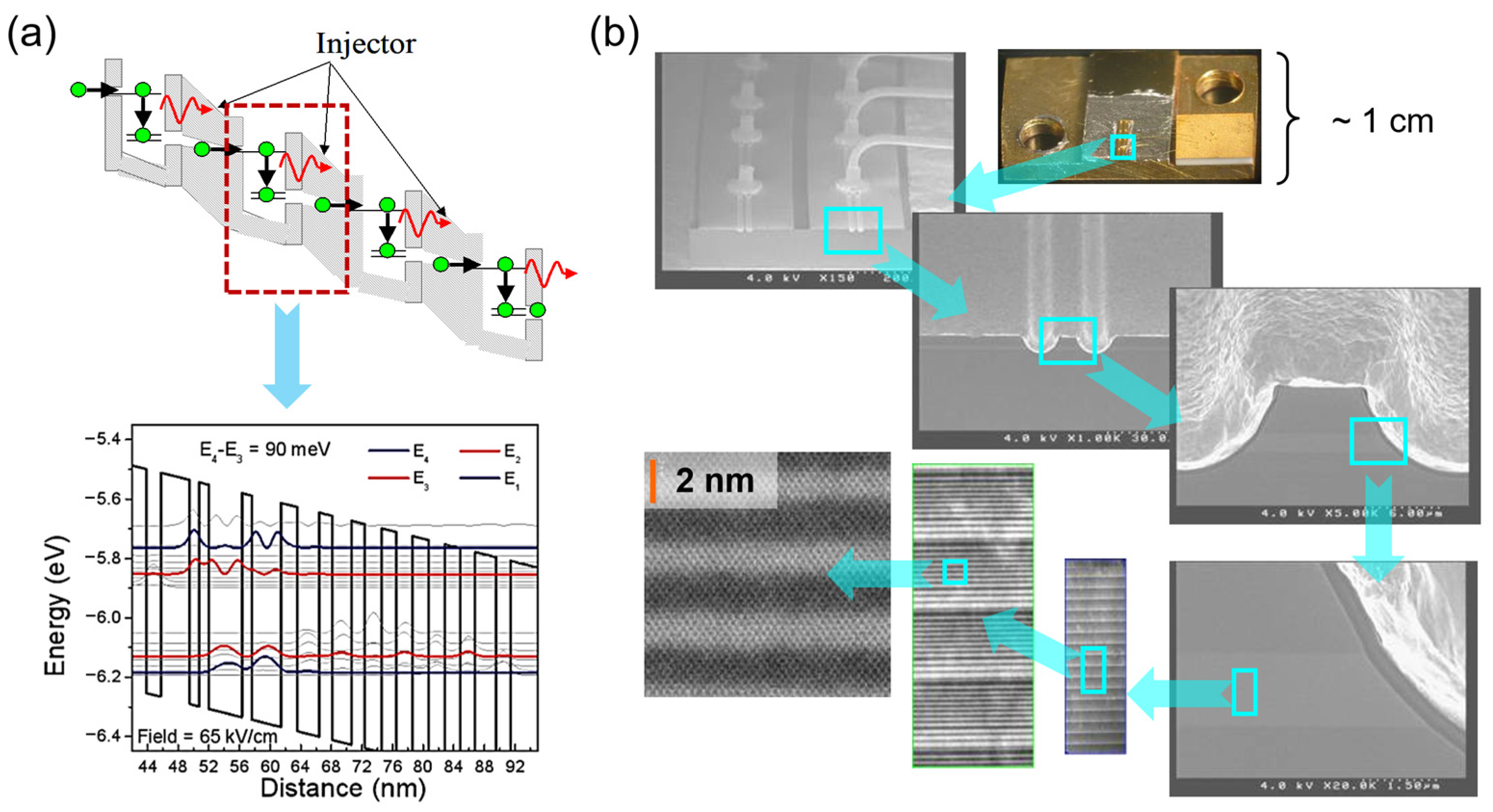 Photonics 12 00079 g007