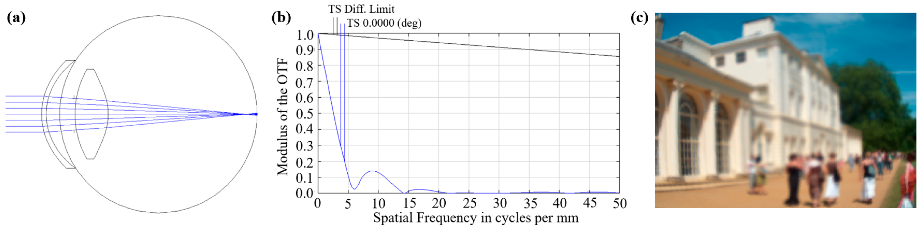 Photonics 12 00087 g005