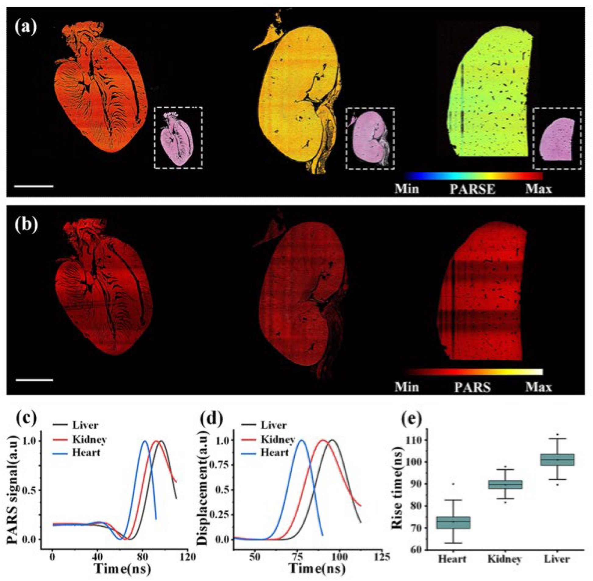 Photonics 12 00090 g002 Photonics 12 00090 g002