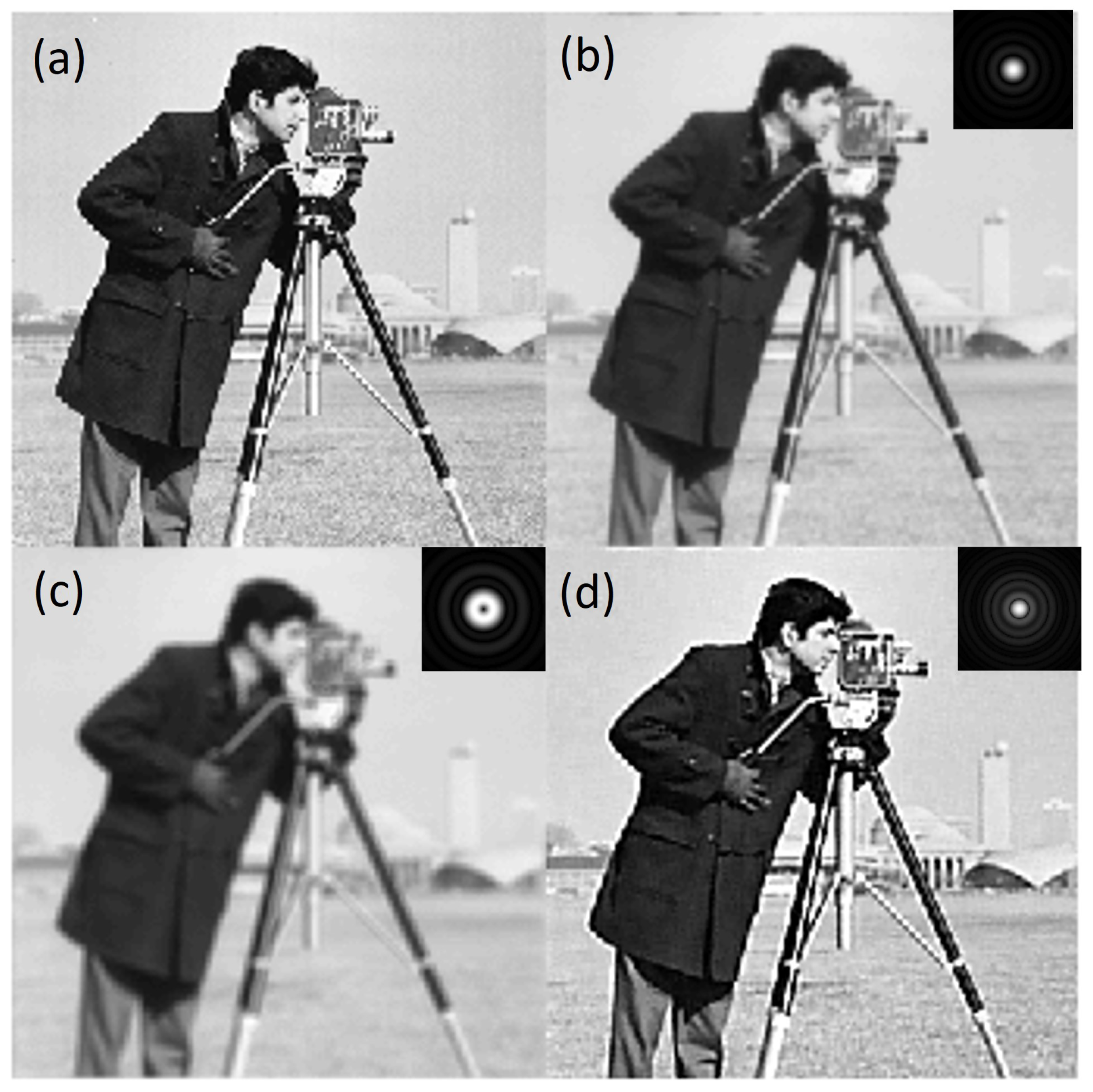 Photonics 12 00096 g013