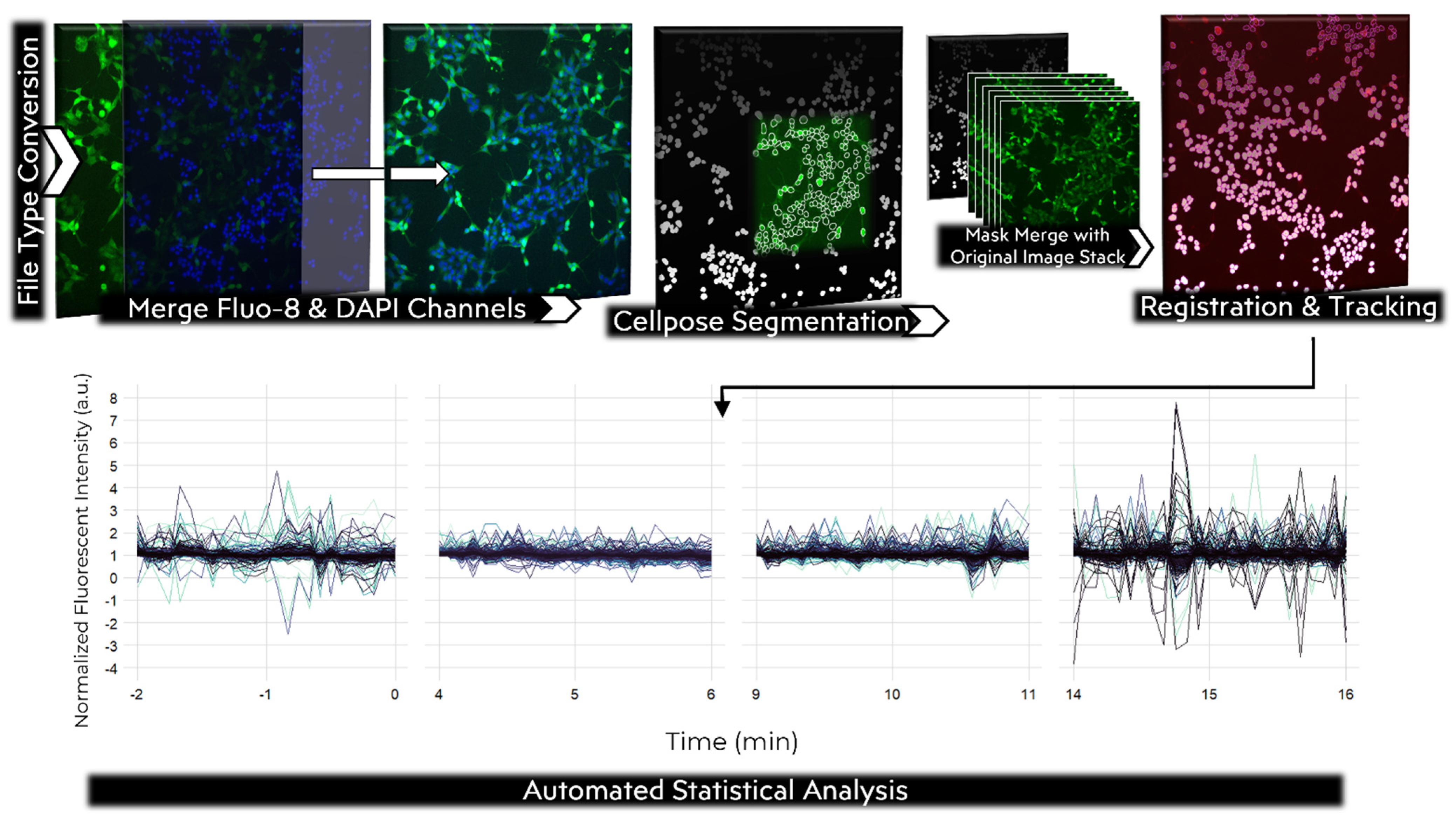 Photonics 12 00099 g001