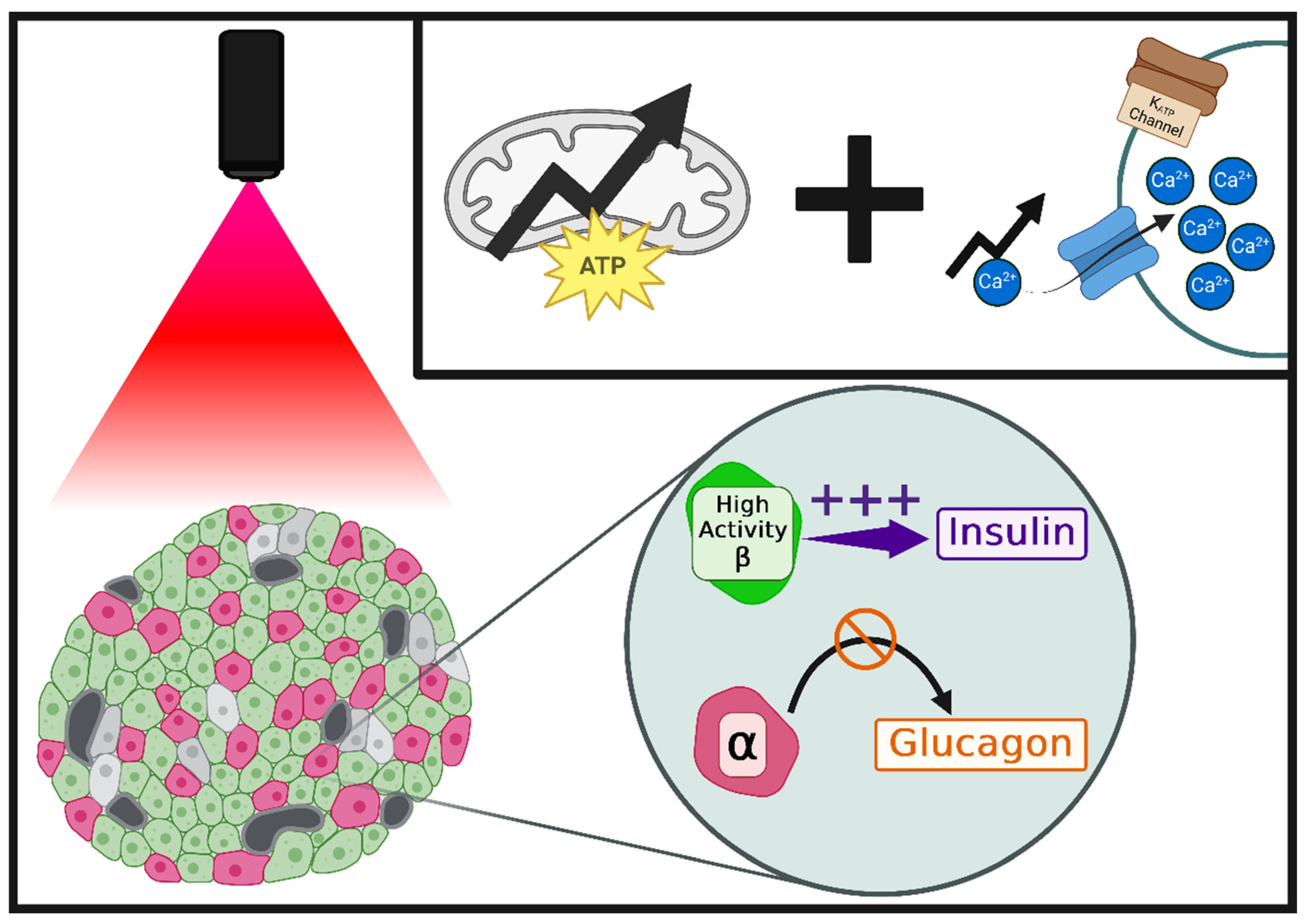 Photonics 12 00099 g008