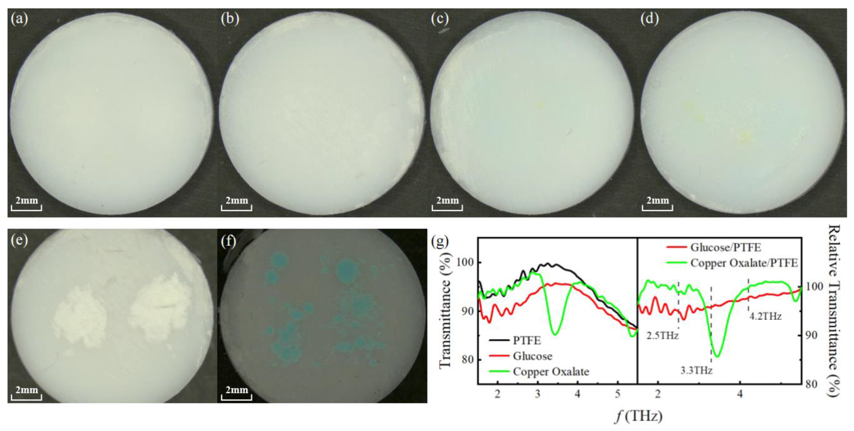 Photonics 12 00109 g003