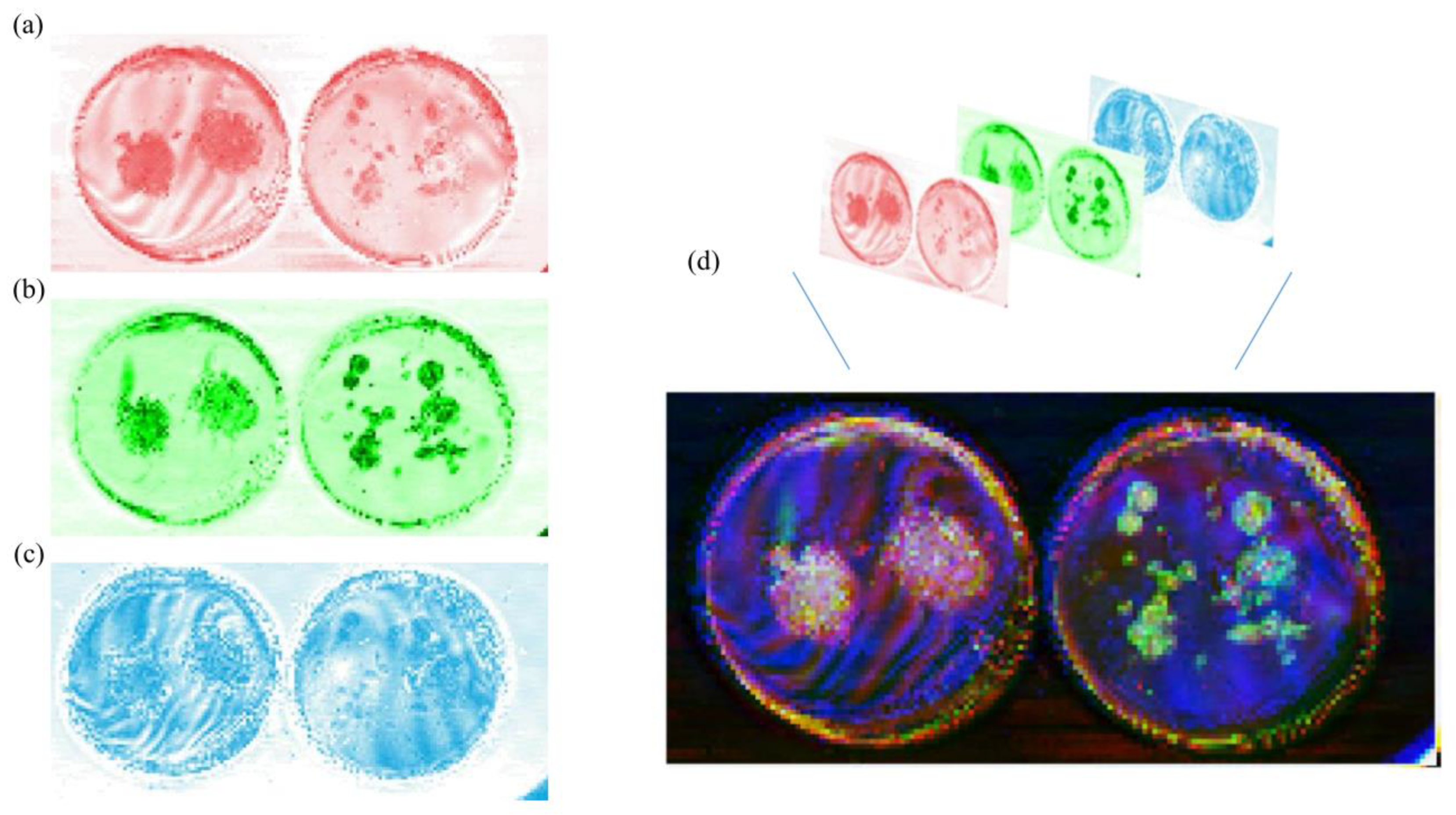 Photonics 12 00109 g004
