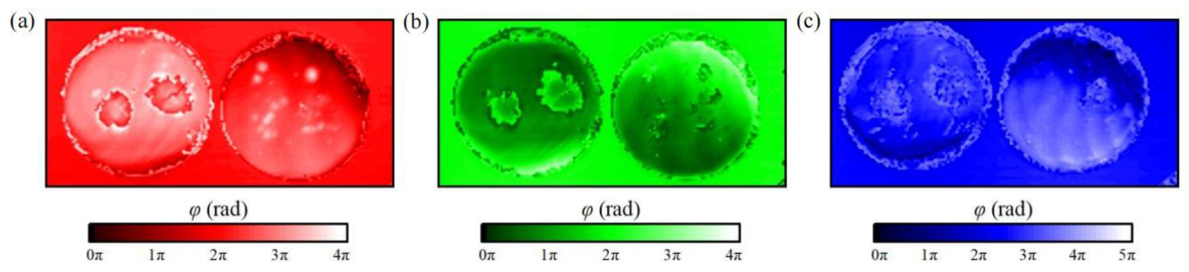 Photonics 12 00109 g005