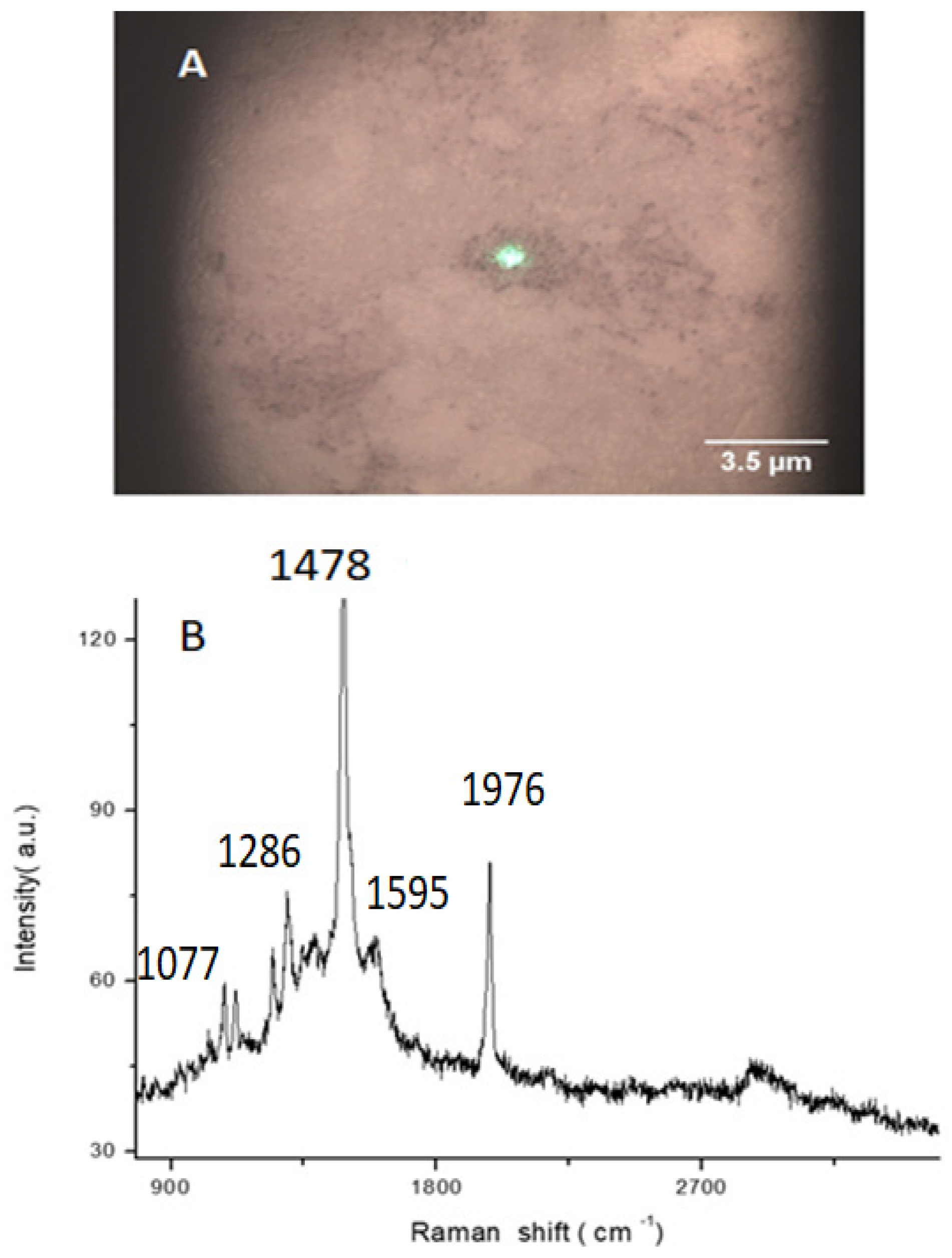 Photonics 12 00121 g002