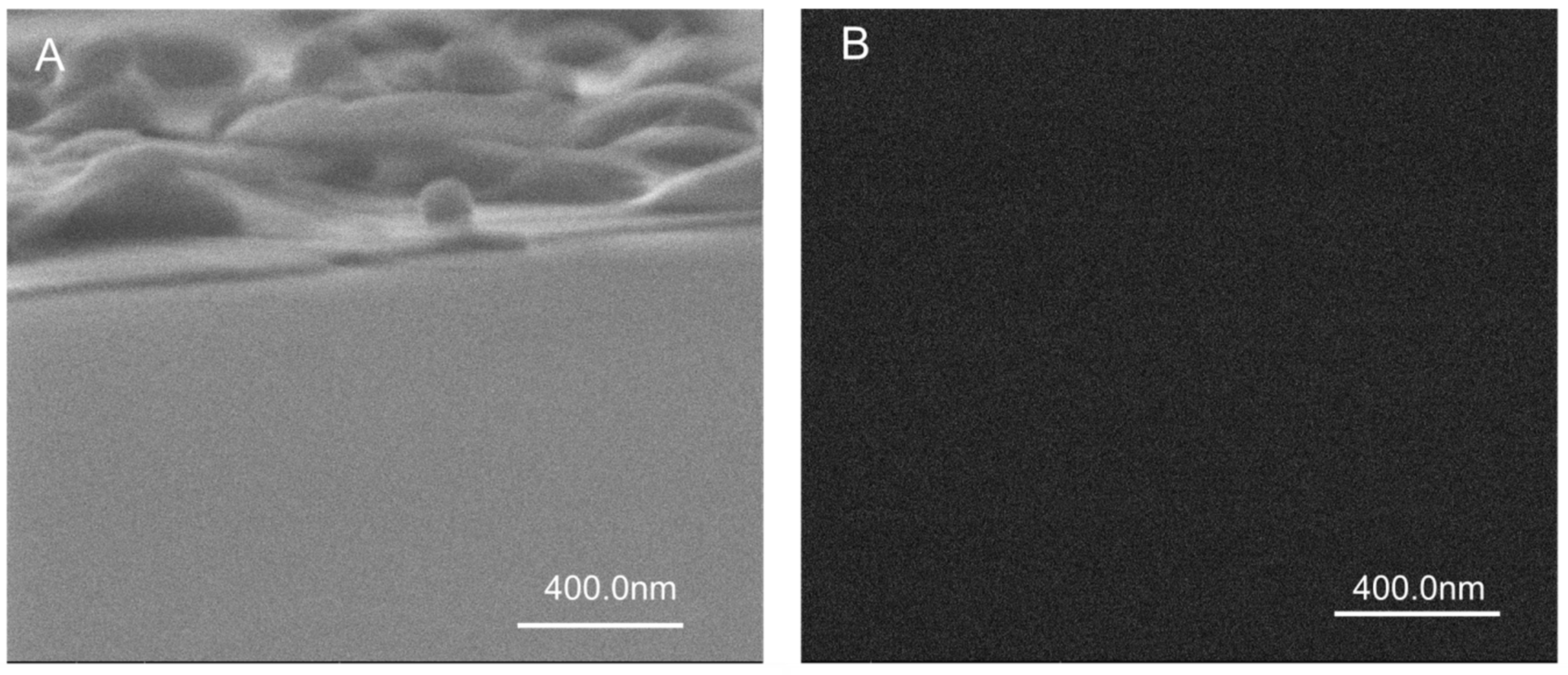 Photonics 12 00121 g005