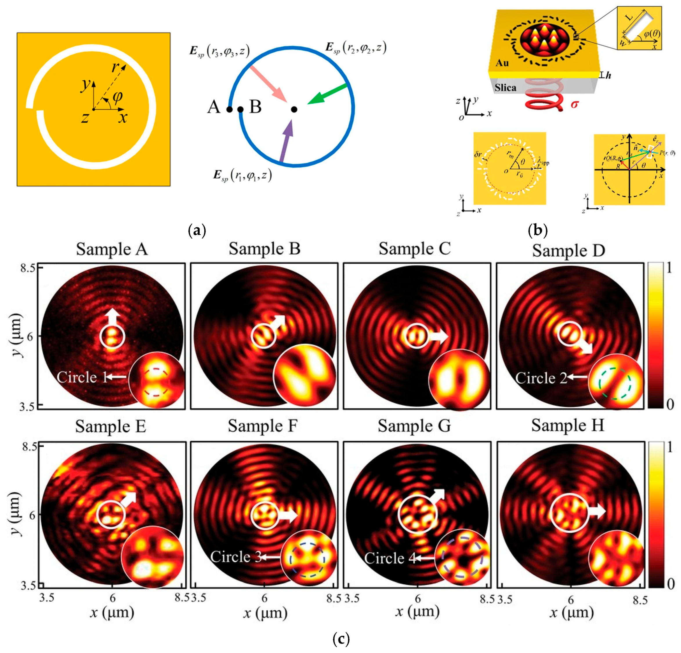 Photonics 12 00125 g003