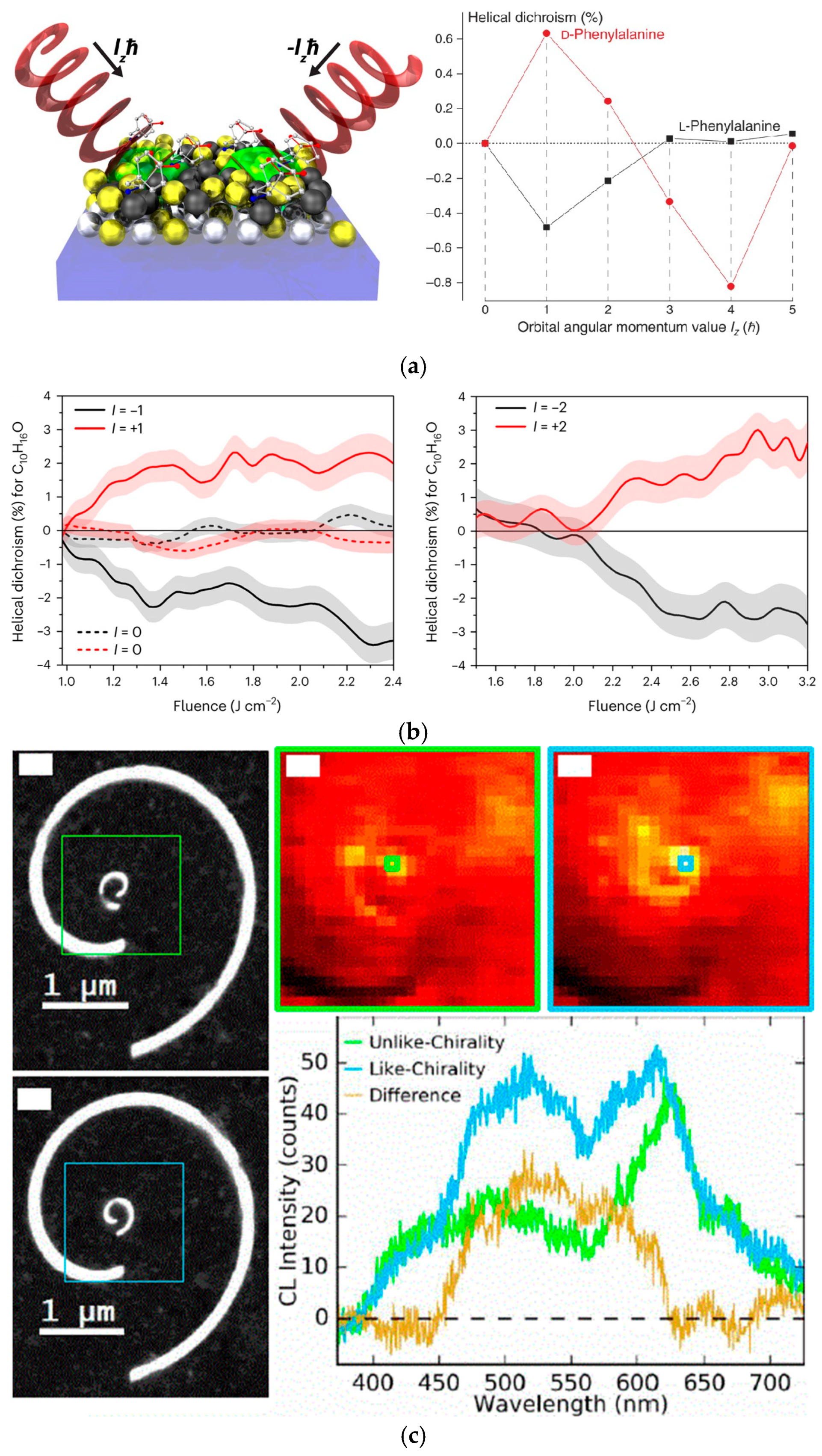 Photonics 12 00125 g008