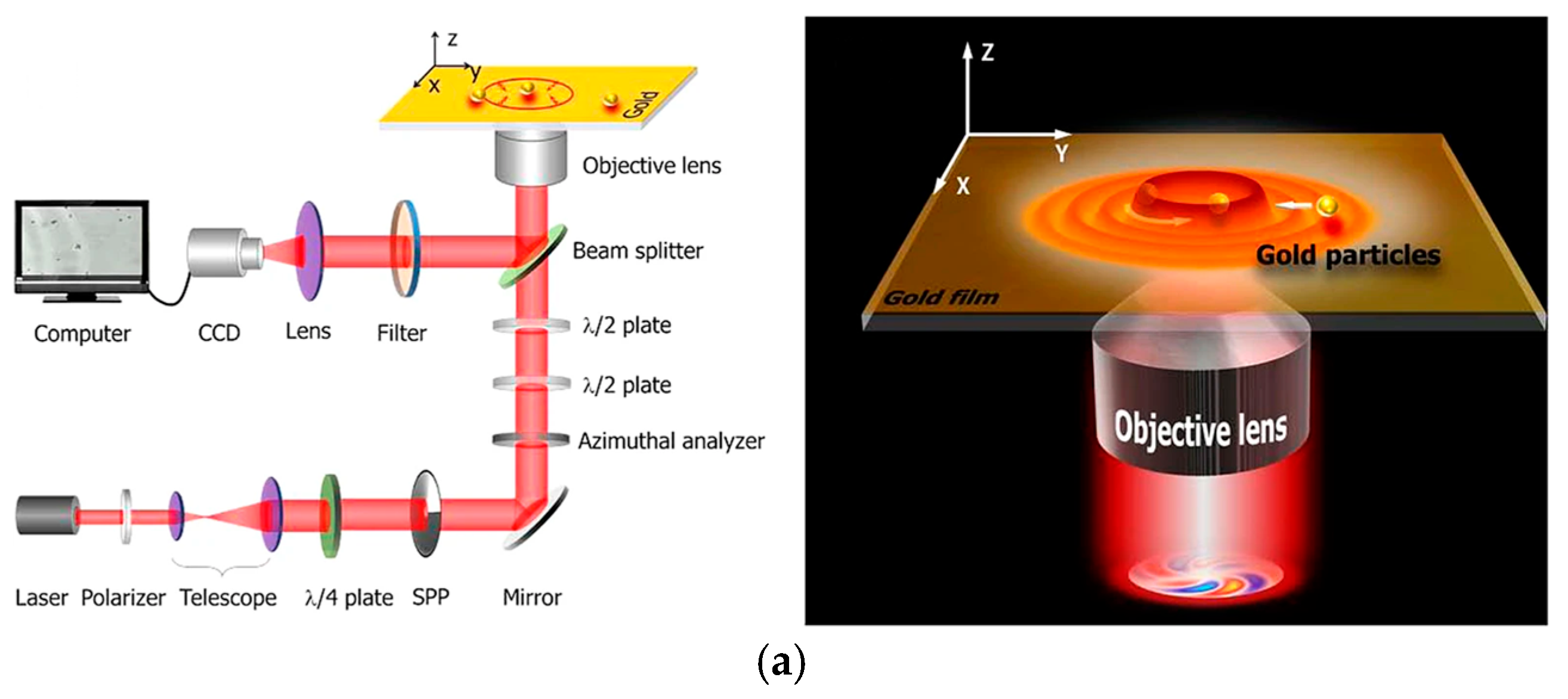 Photonics 12 00125 g013a