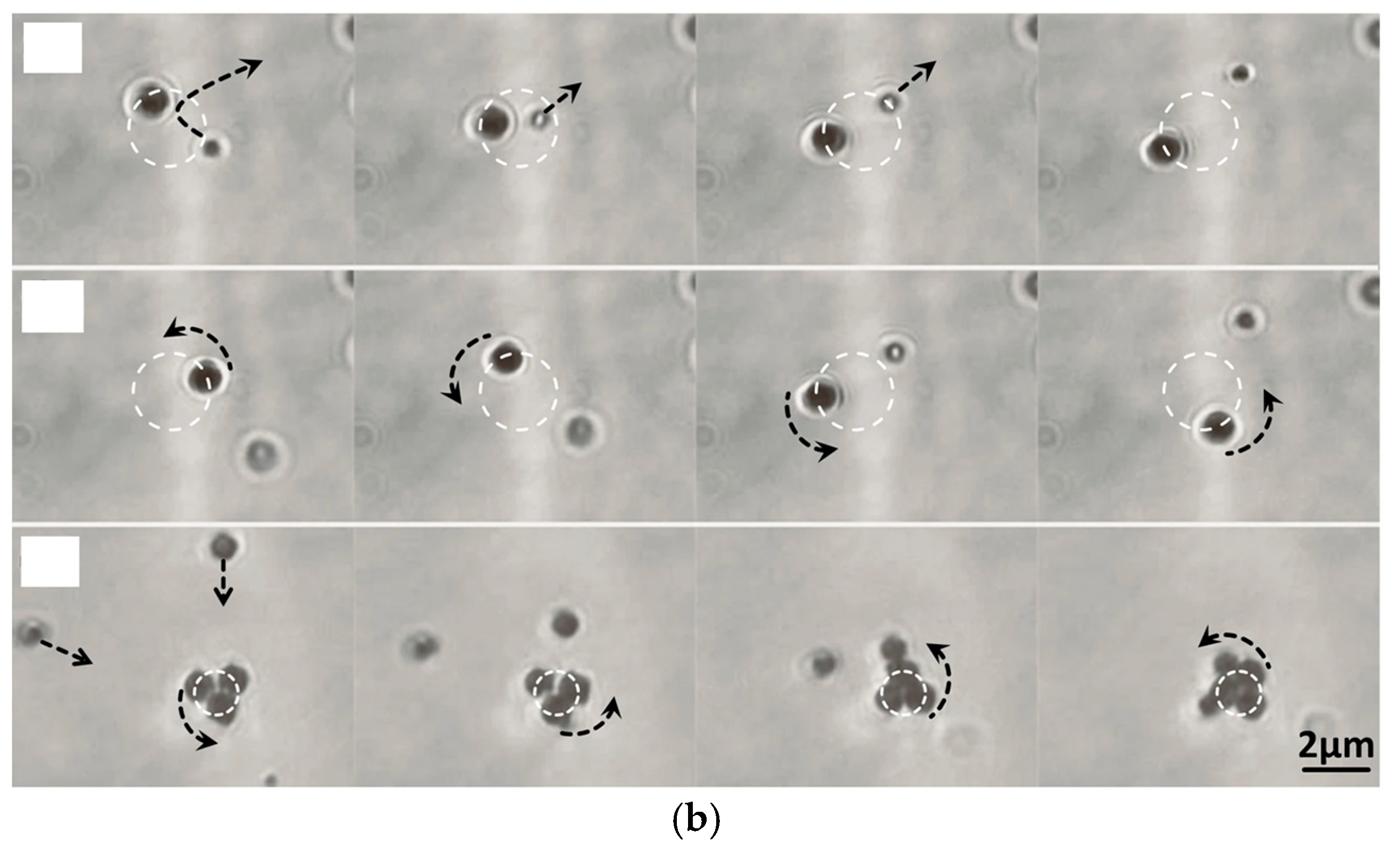 Photonics 12 00125 g013b