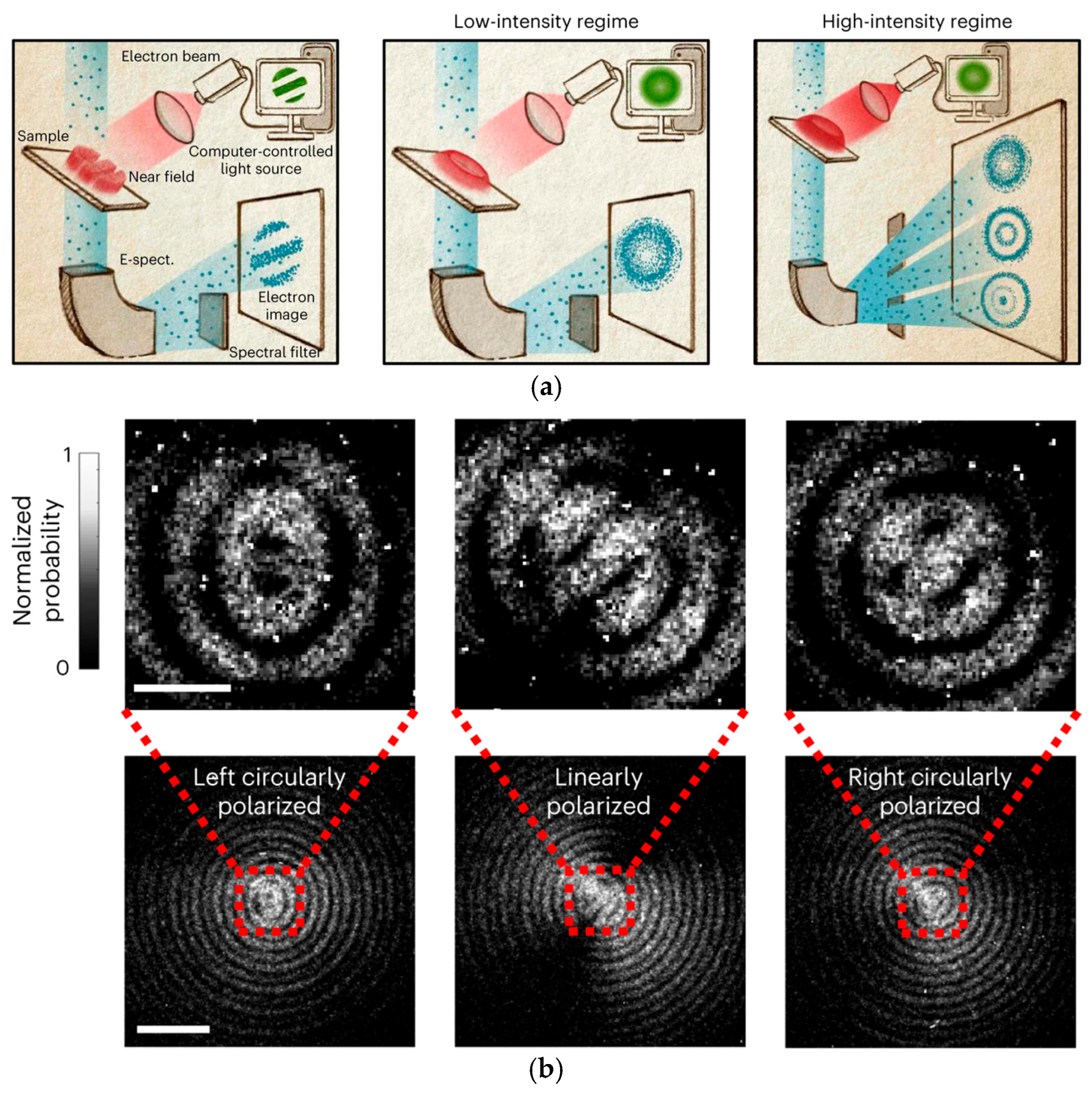 Photonics 12 00125 g014